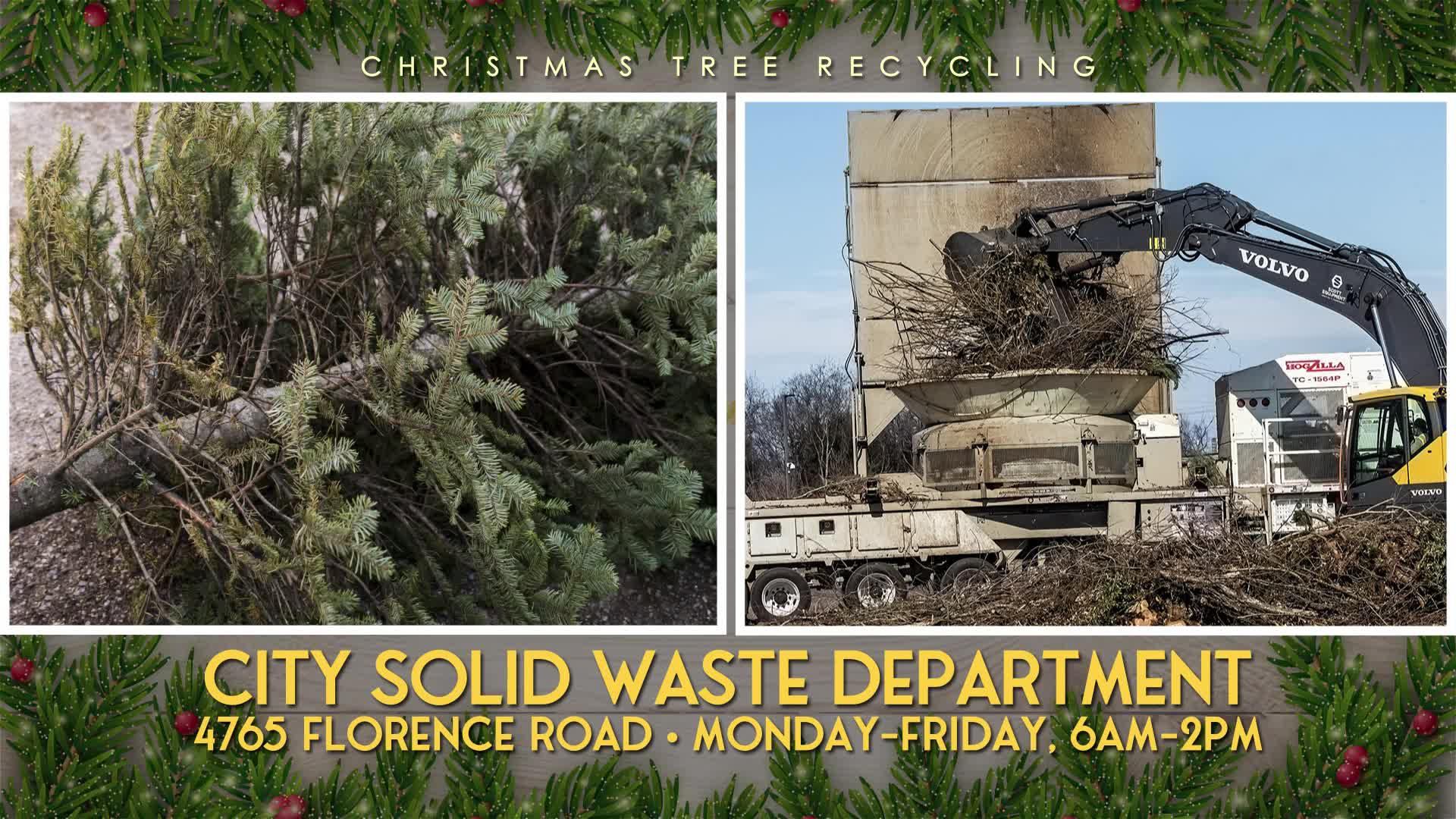 Thumbnail image for Christmas Tree Recycling