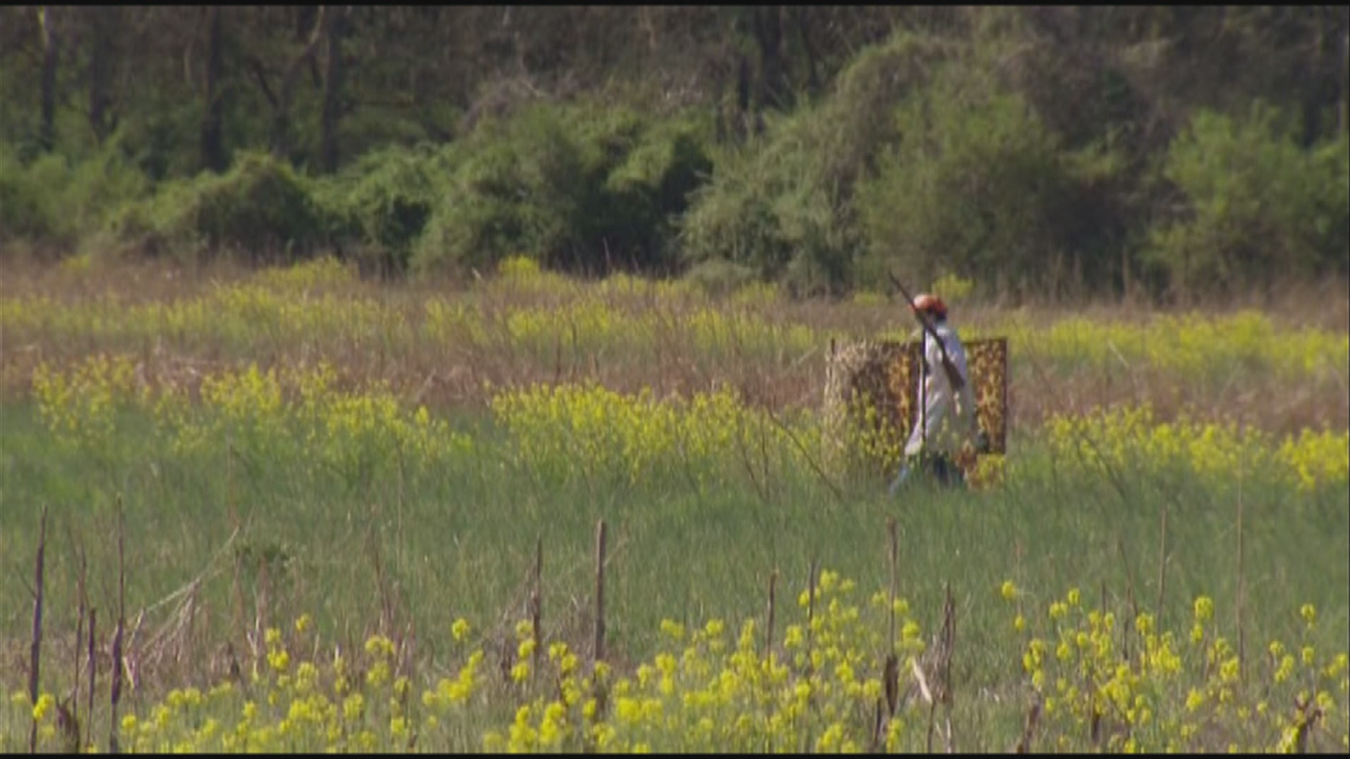 Thumbnail image for TN Wild Side