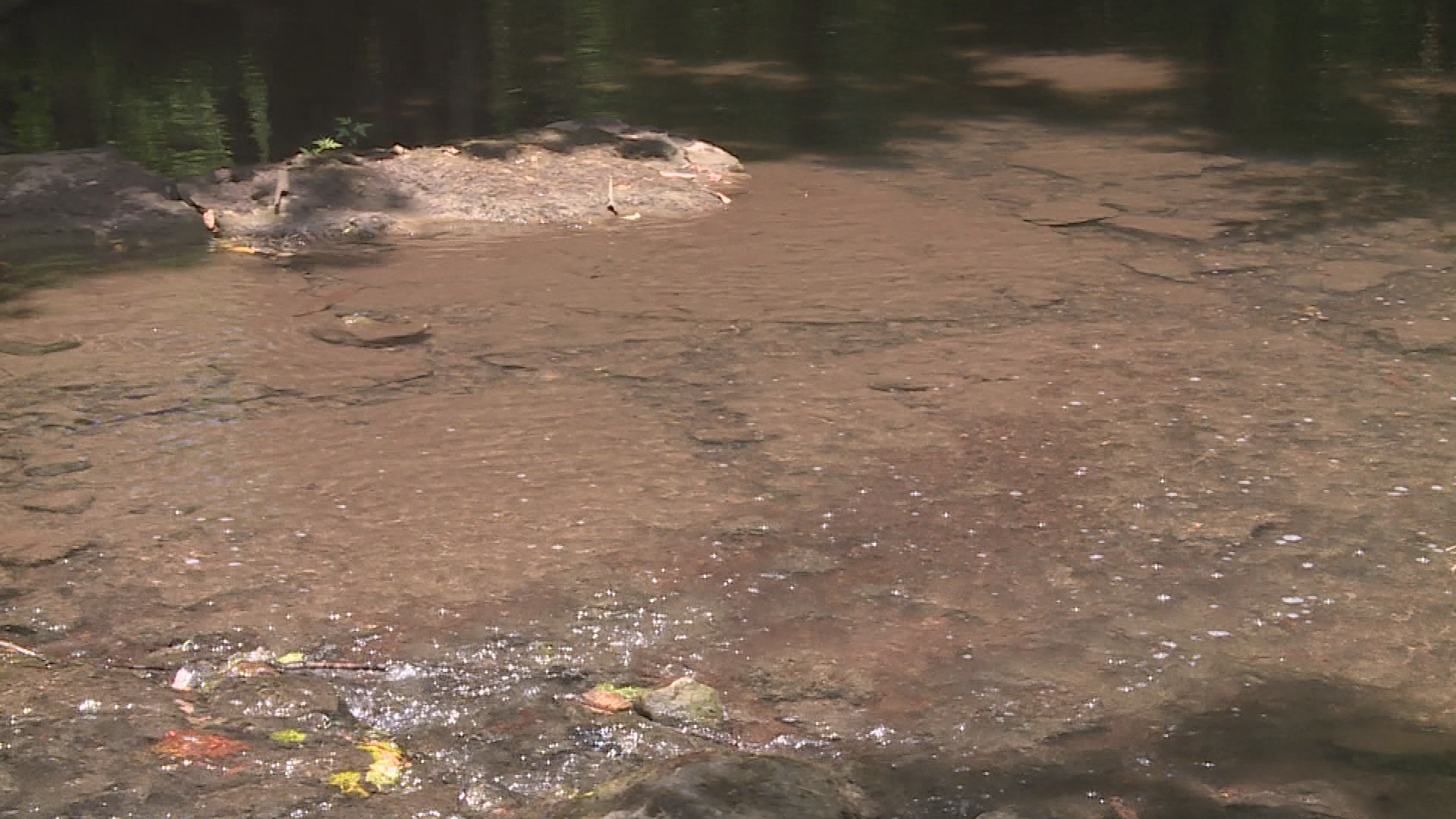 Thumbnail image for Laotian Information