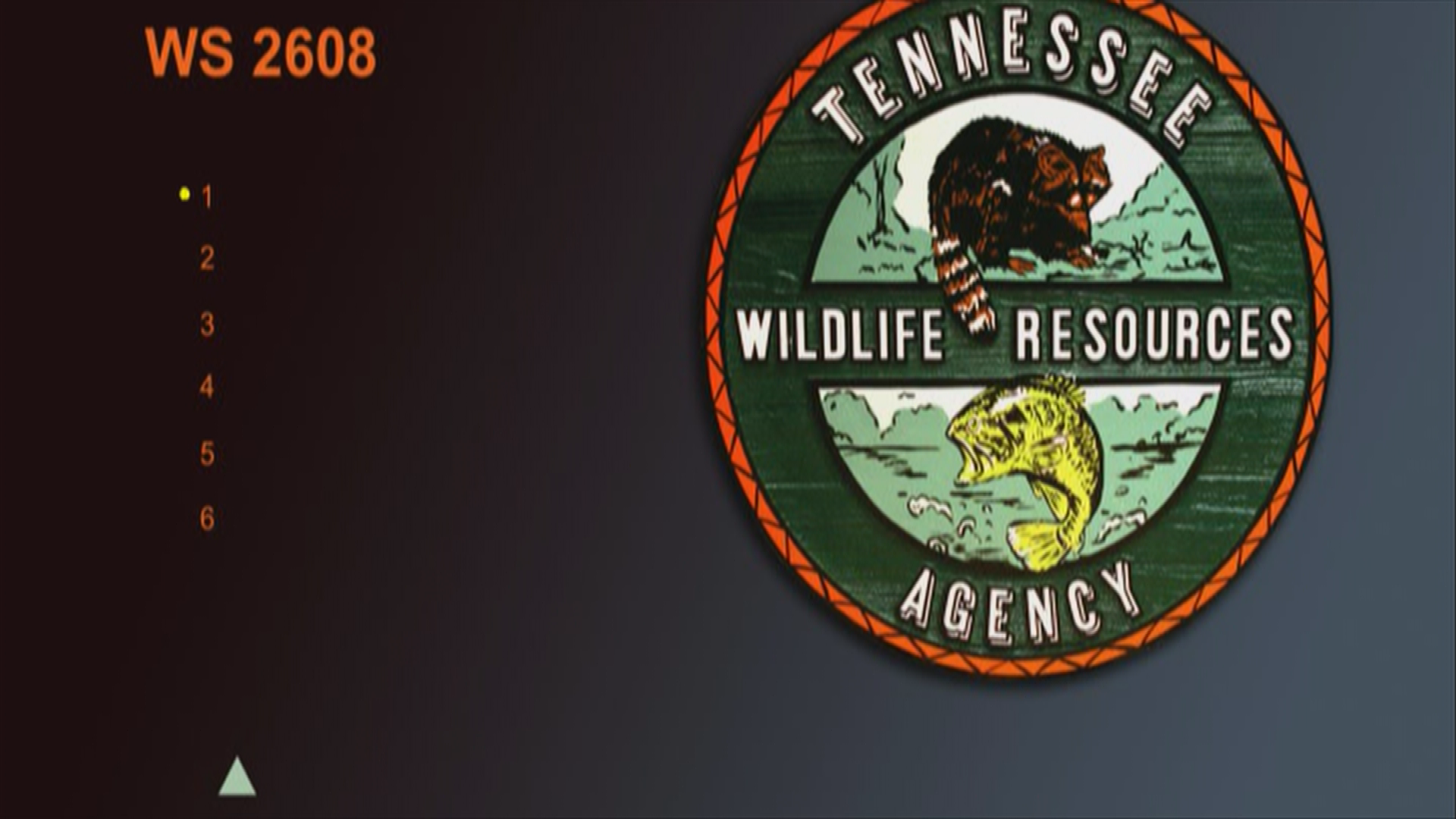 Thumbnail image for TN Wild Side