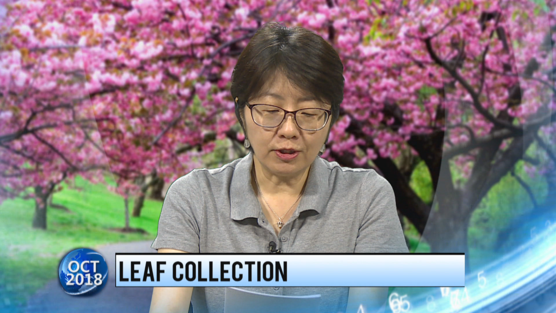 Thumbnail image for Konnichiwa Murfreesboro