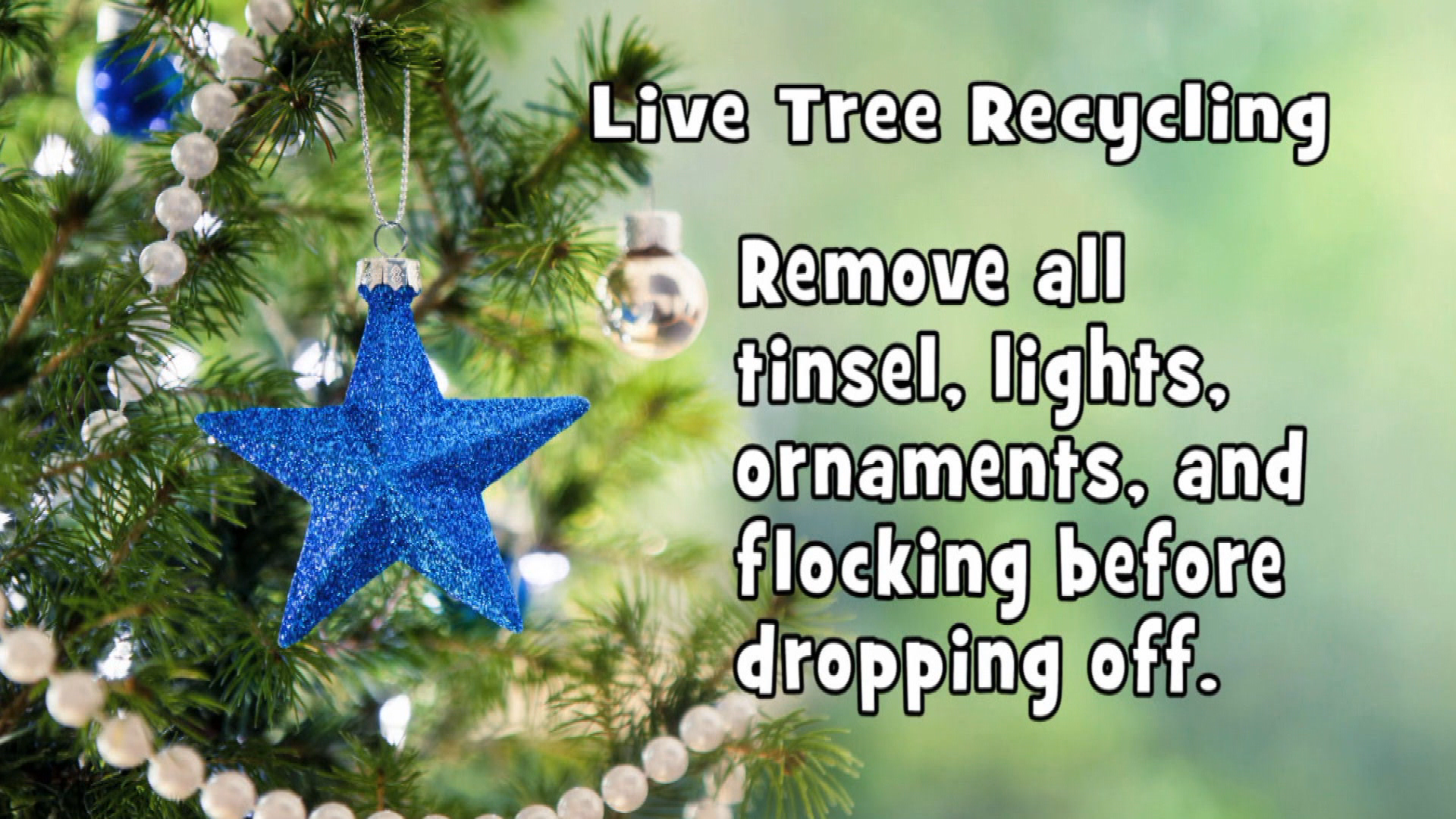 Thumbnail image for Christmas Tree Recycling
