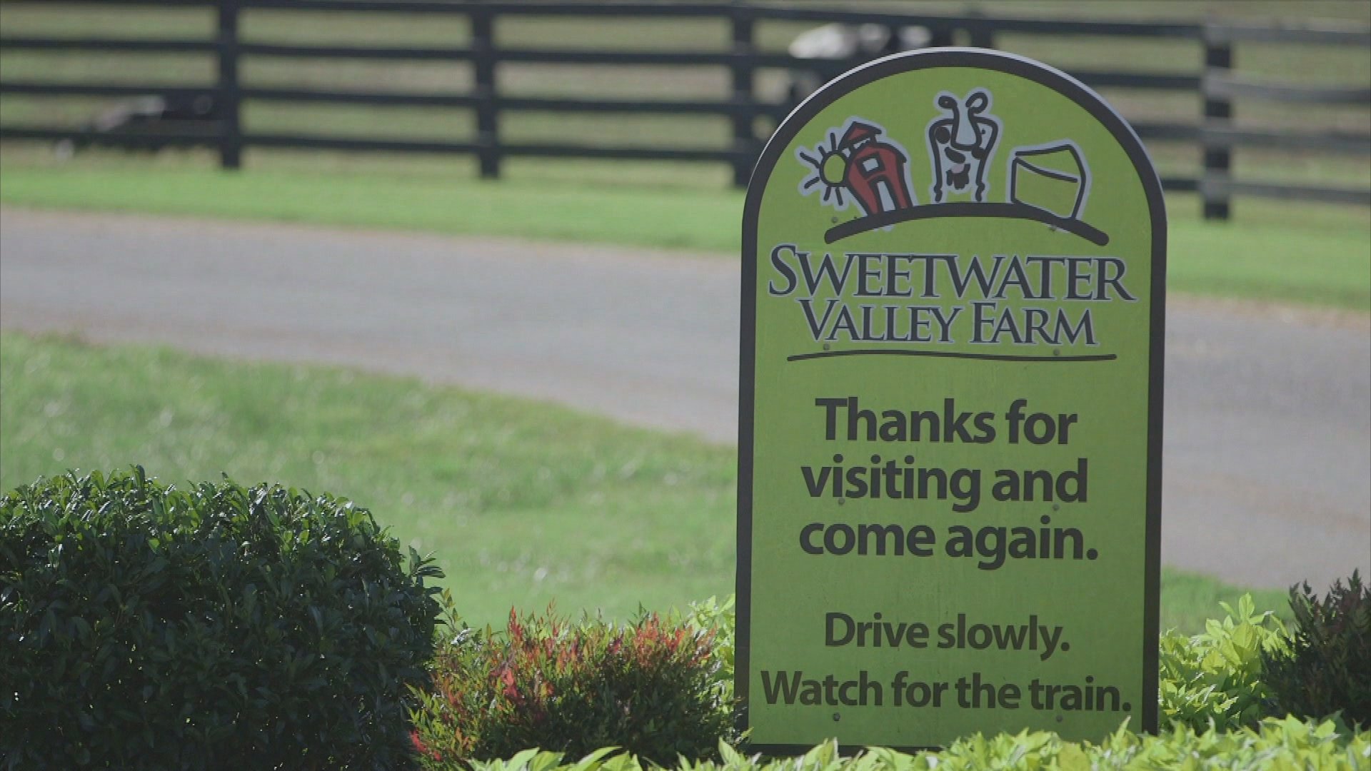 Thumbnail image for TN Uncharted