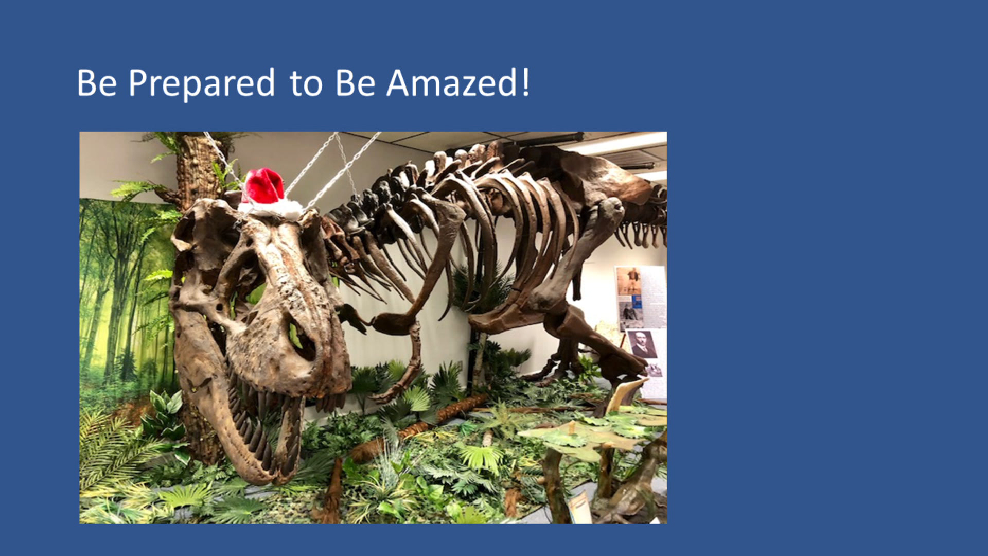 Thumbnail image for Hometown Tourist