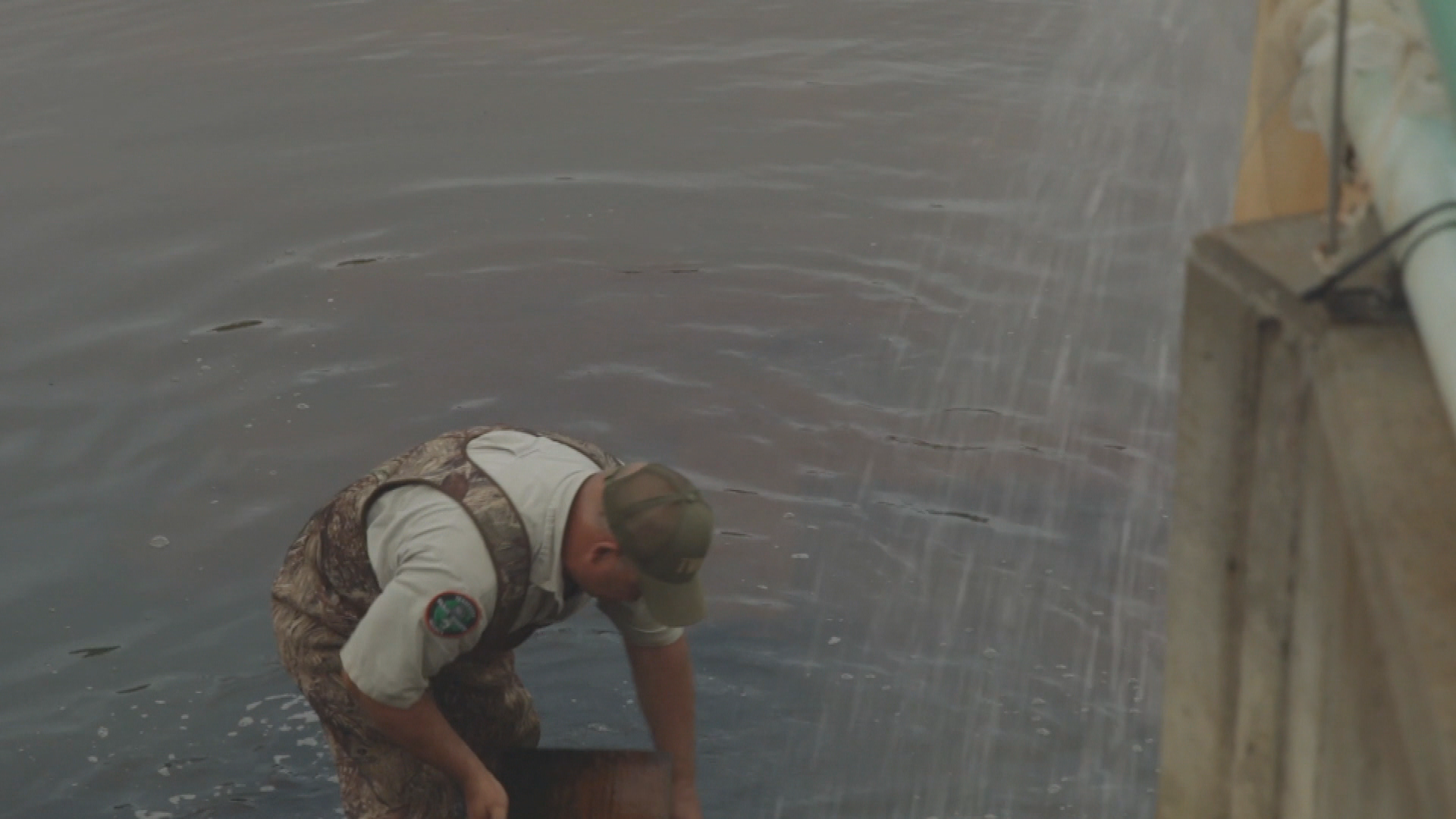 Thumbnail image for TN Uncharted