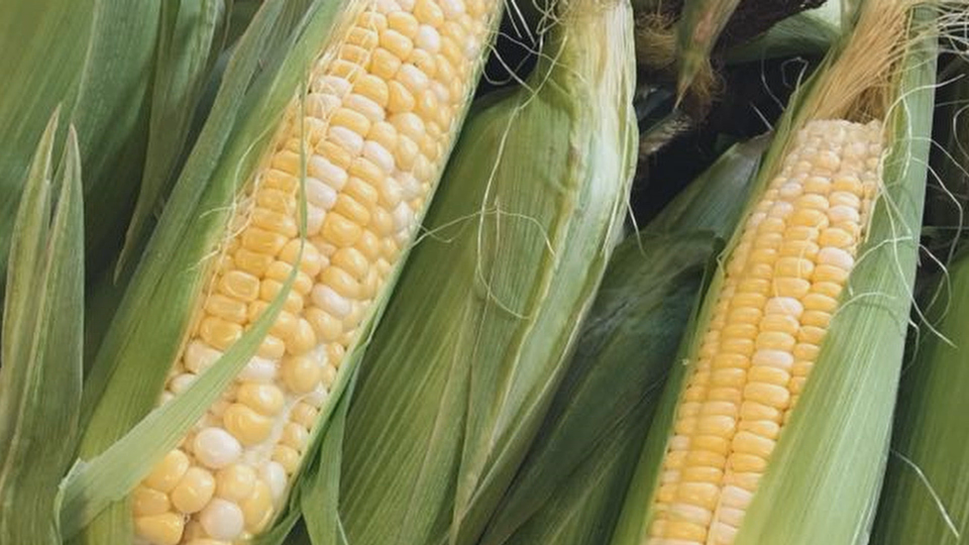 Thumbnail image for Talkin' Agriculture