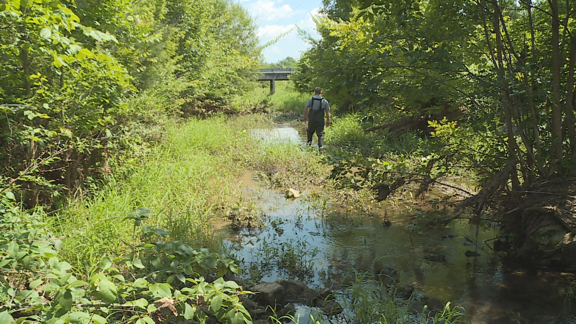 Thumbnail image for Bushman Creek Watershed