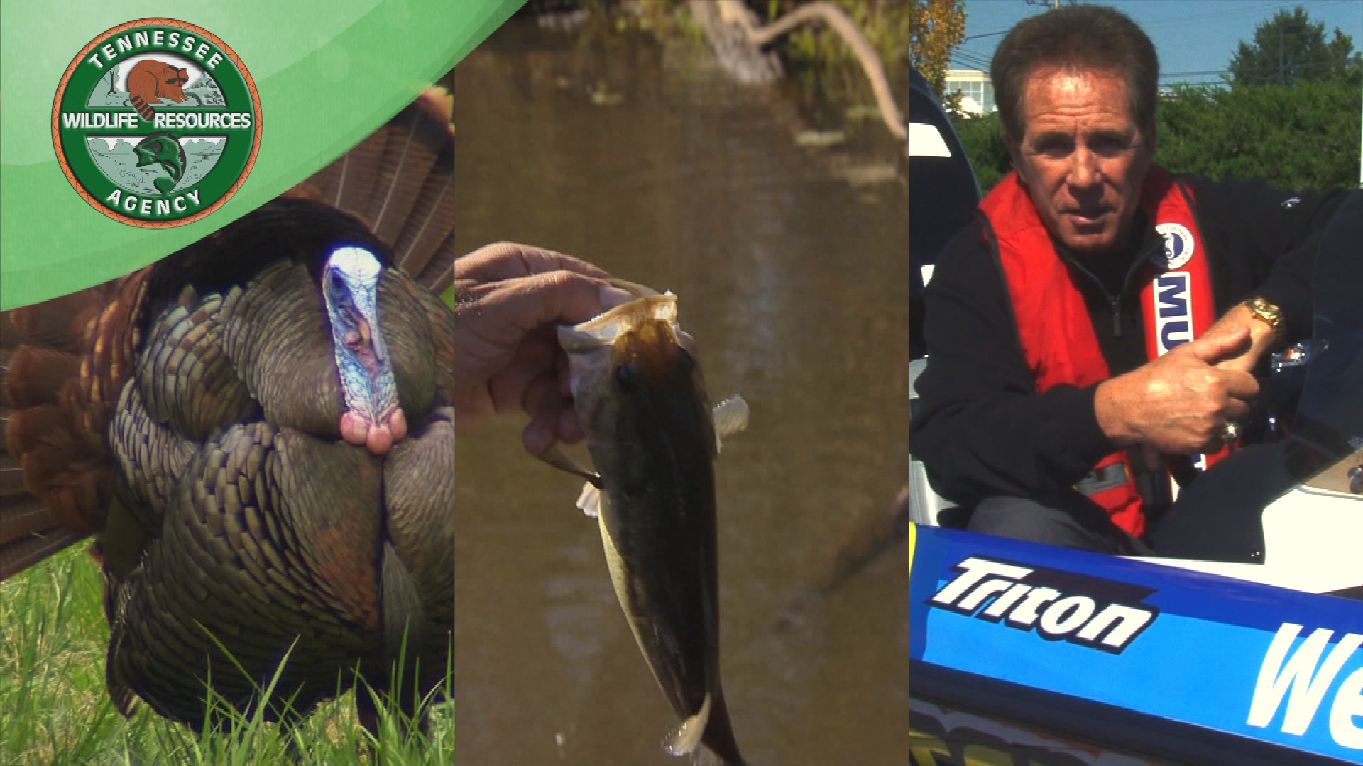 Thumbnail image for TWRA PSA-Darrell Waltrip Buy License with App