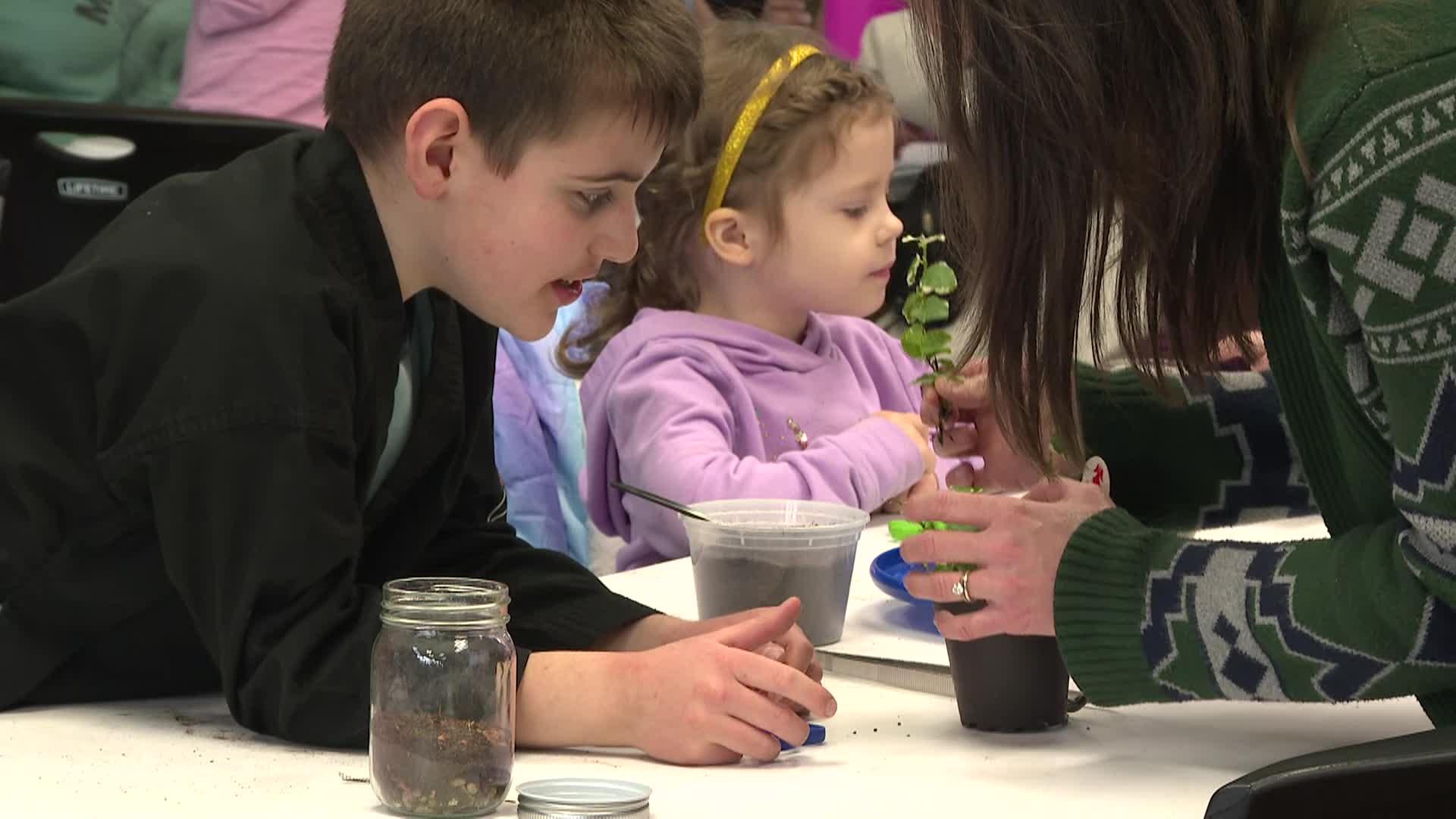 Thumbnail image for Terrerium Tinker