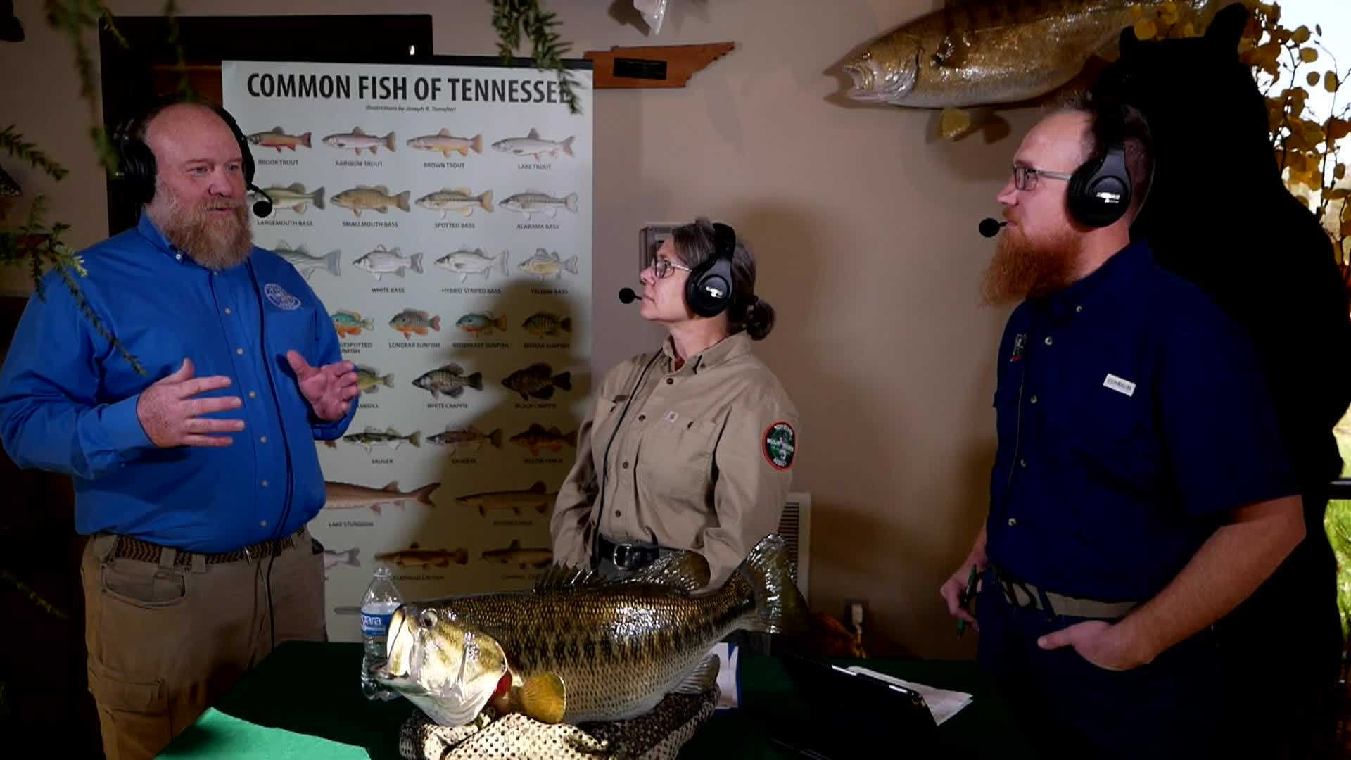 Thumbnail image for TN Wildcast