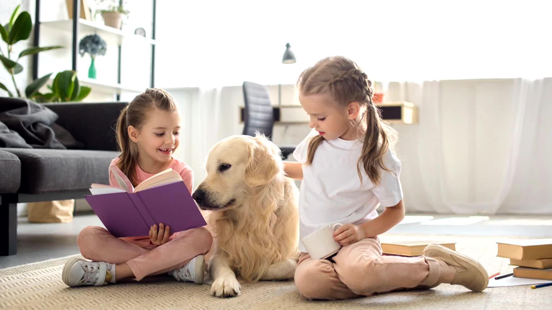 Thumbnail image for Reading PAWS Program (Newsbreak)