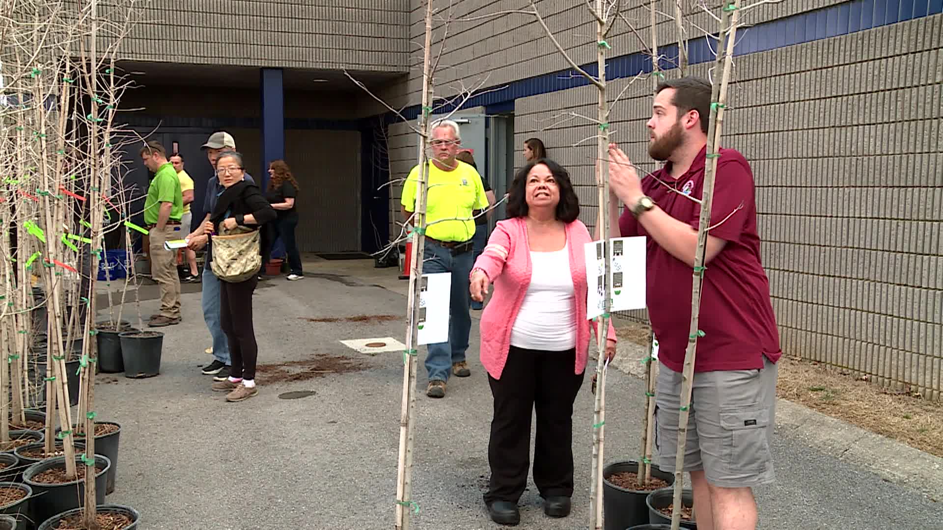 Thumbnail image for M'boro Stormwater Tree Day