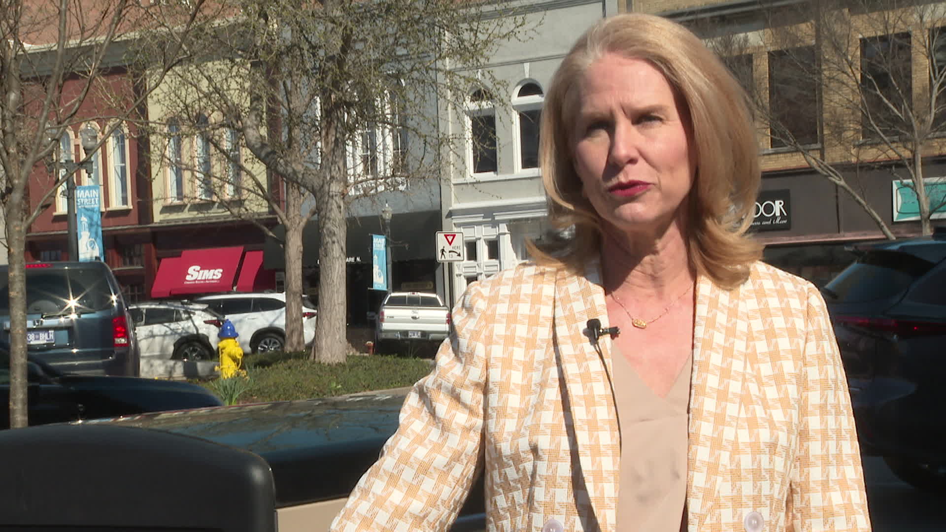 Thumbnail image for Main Street Trash Cans