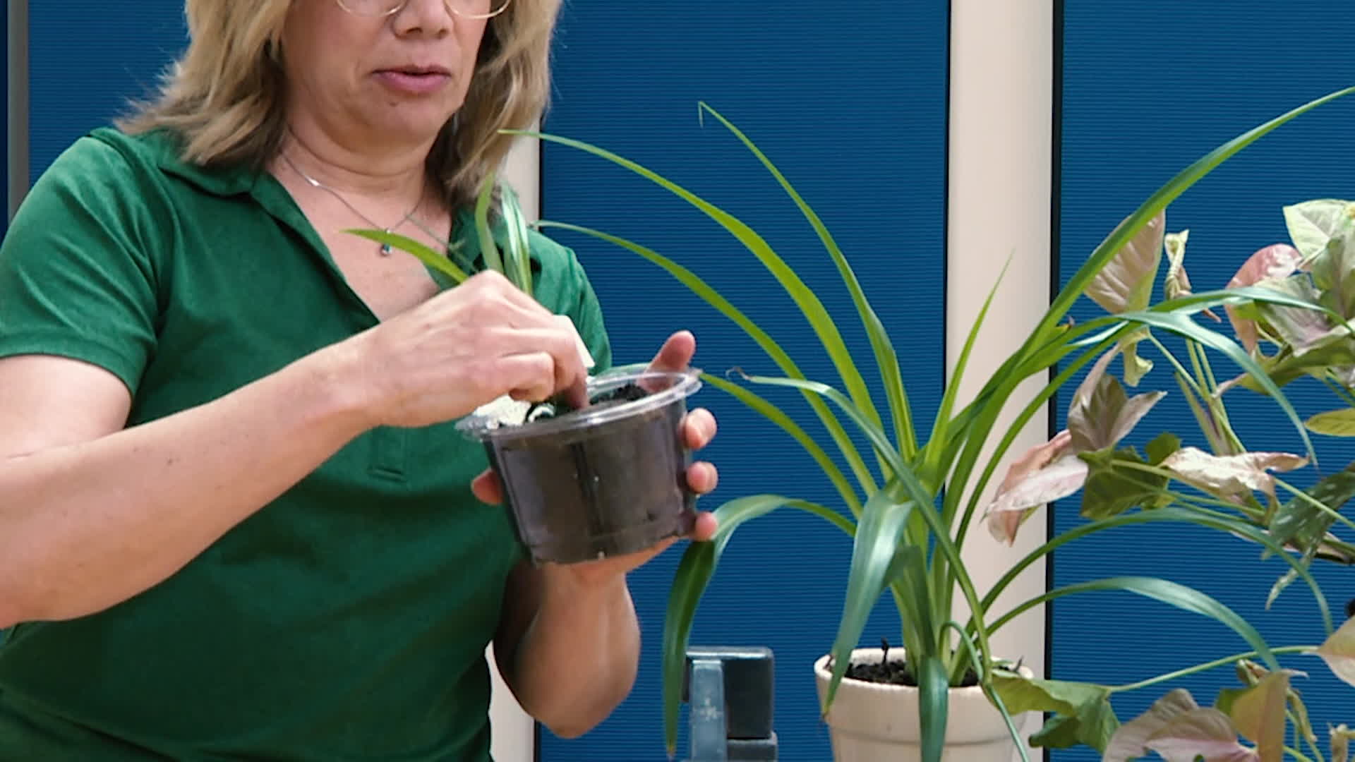 Thumbnail image for Aging Well, Living Well