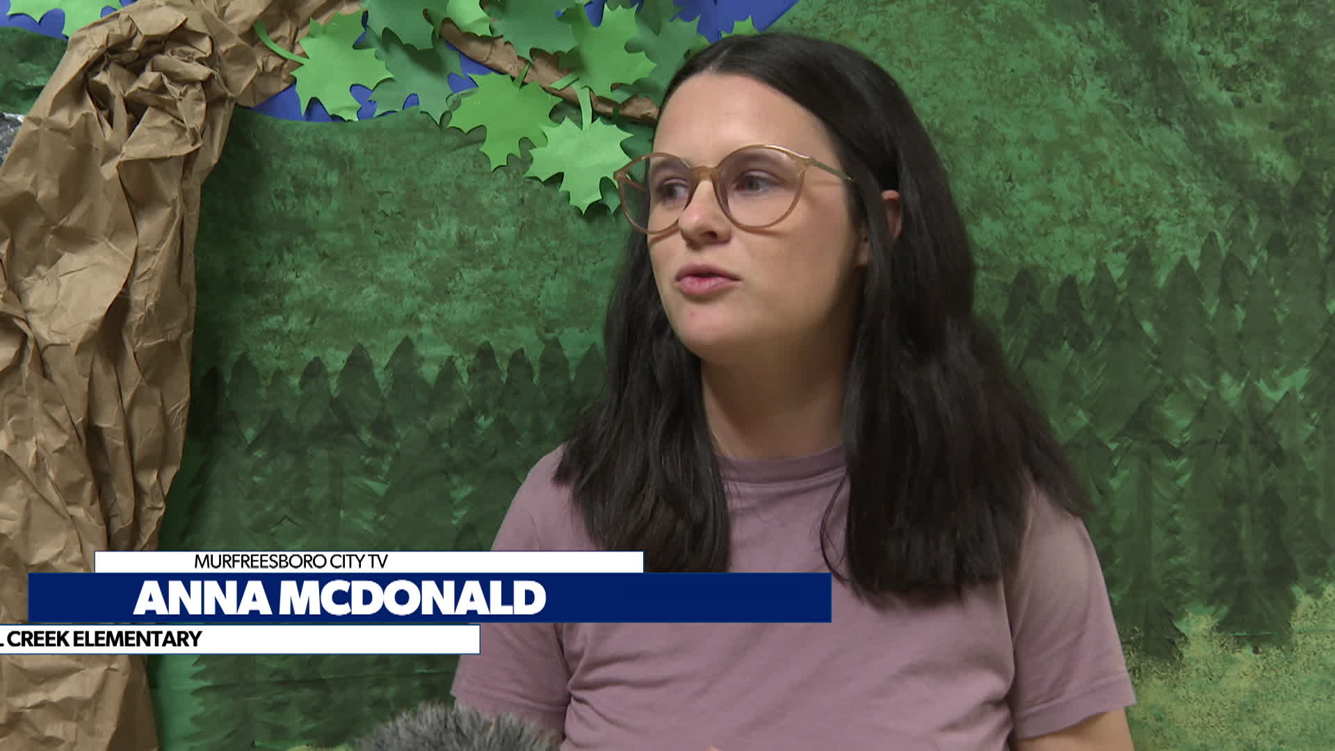 Thumbnail image for Smokies STEAM project Overall Creek