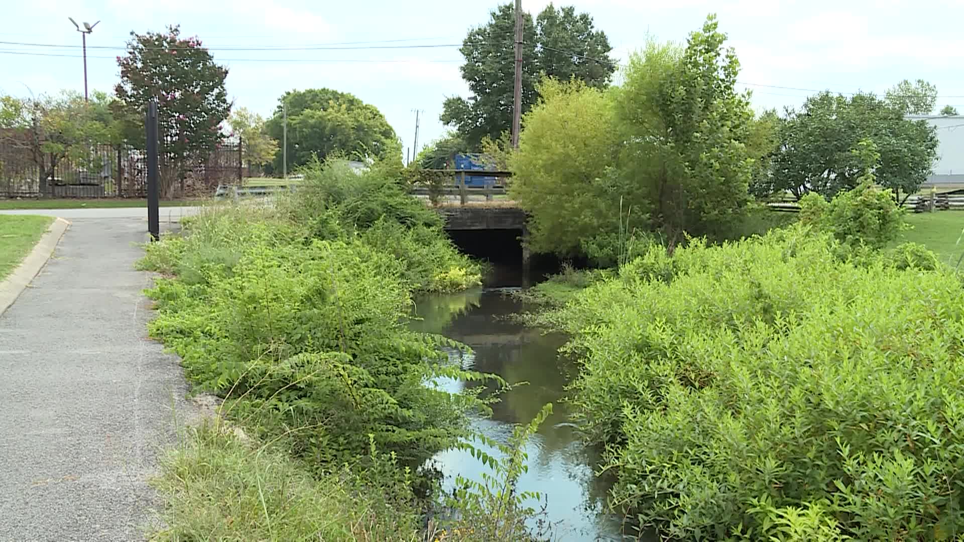 Thumbnail image for Town Creek Update