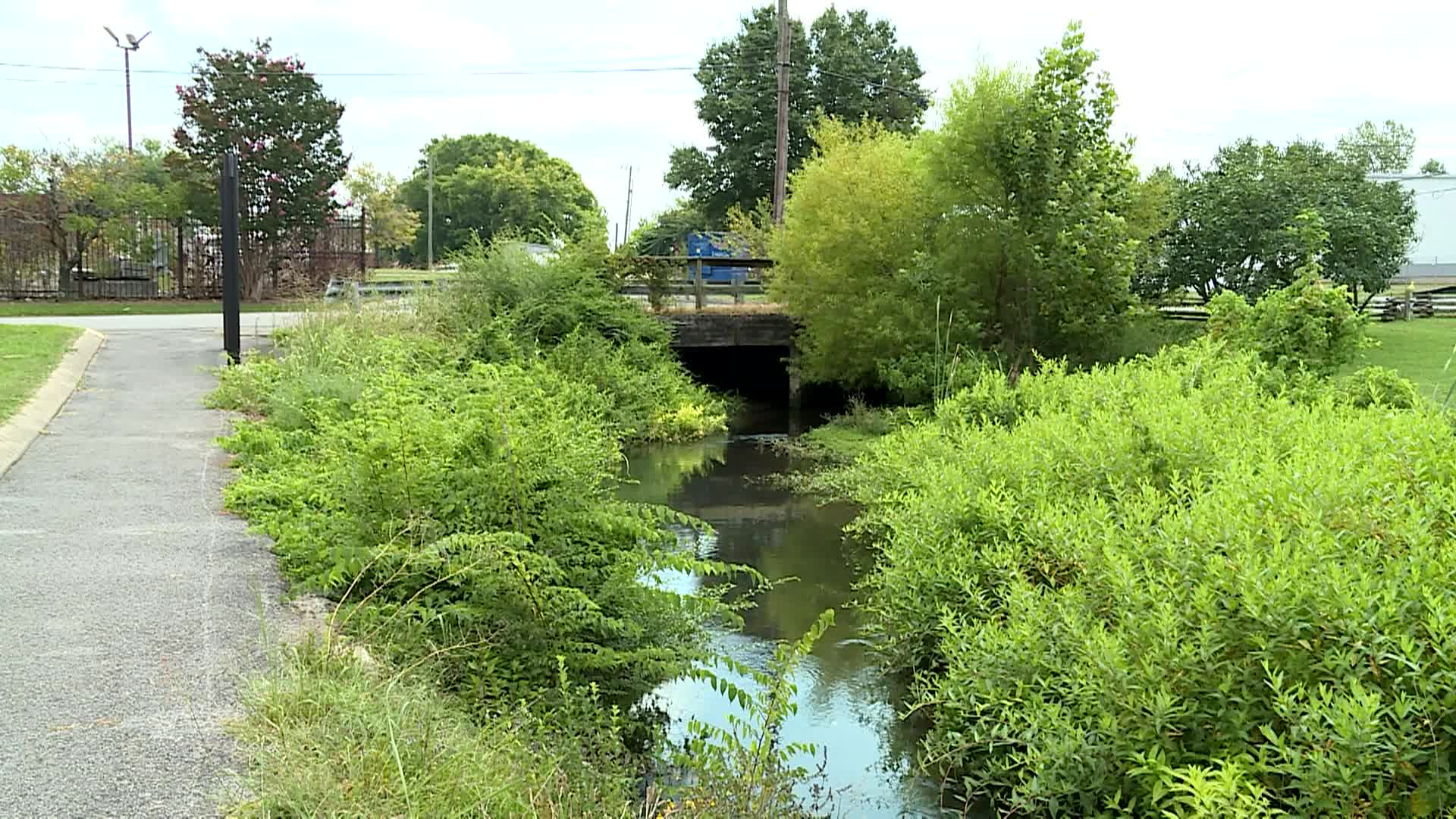 Thumbnail image for Town Creek Update