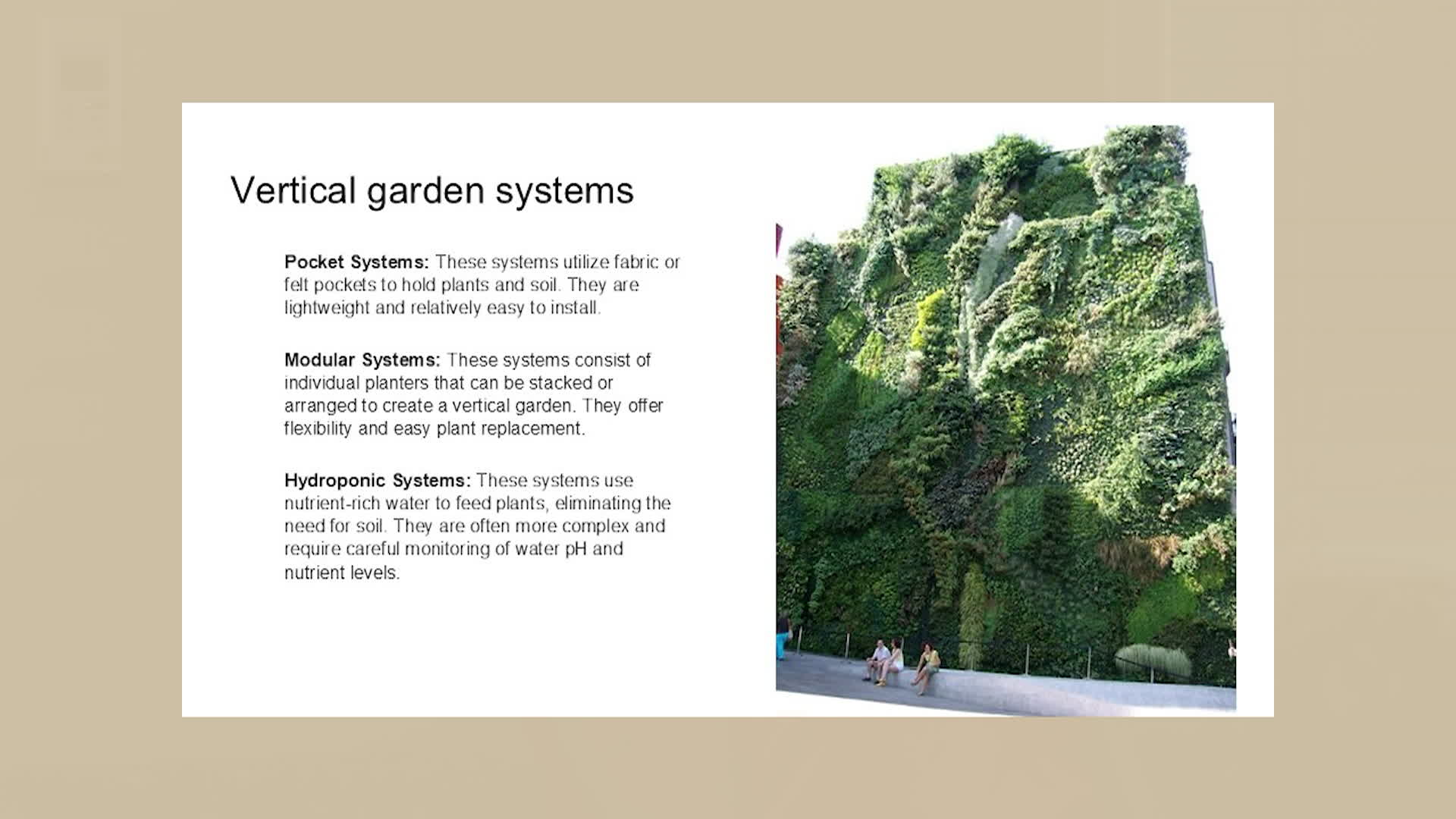 Thumbnail image for Vertical Gardening