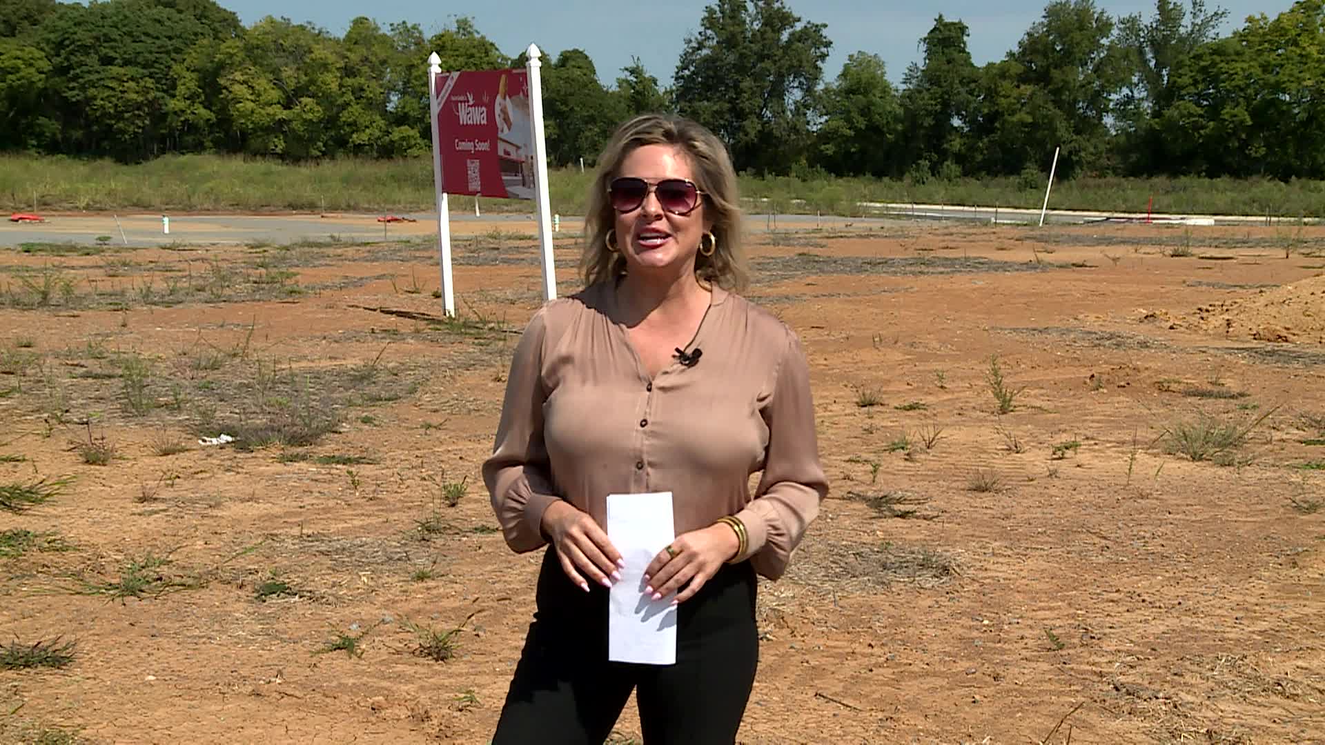 Thumbnail image for What's Up in the Boro: Wawa