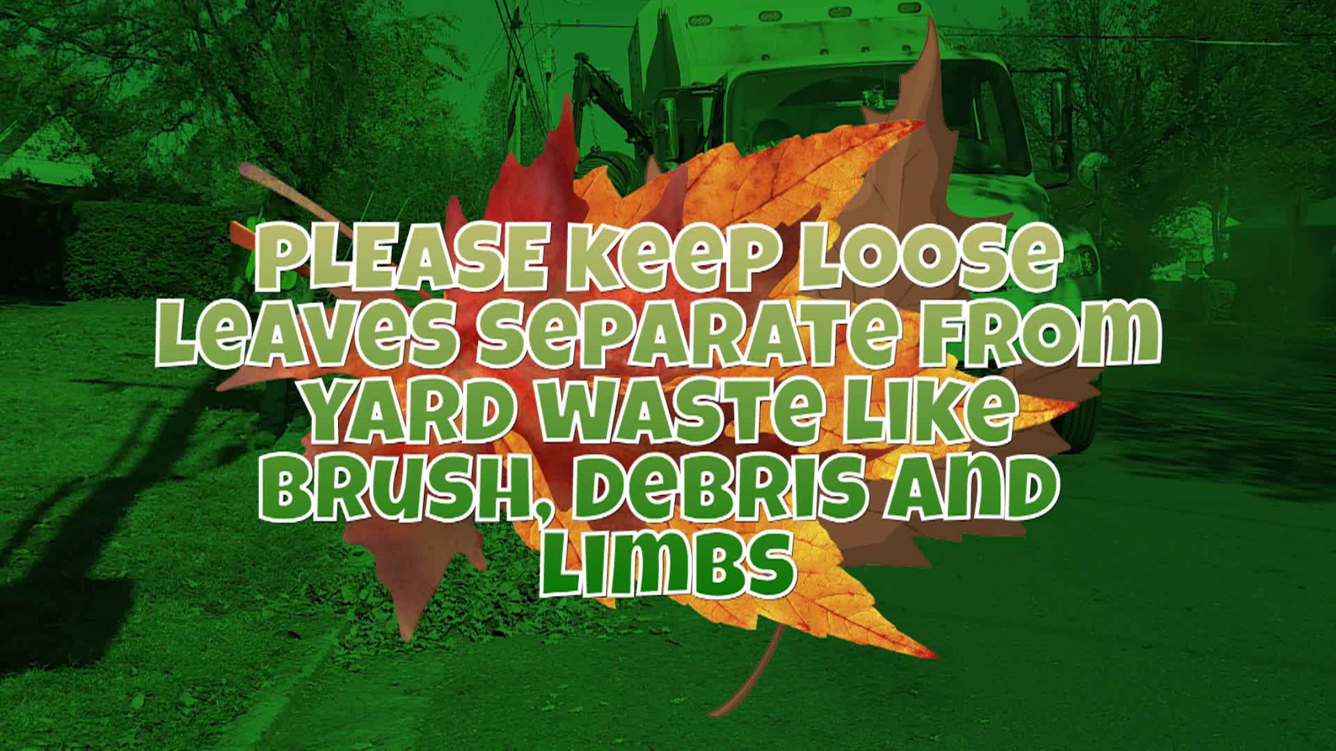 Thumbnail image for Leaf Collection PSA