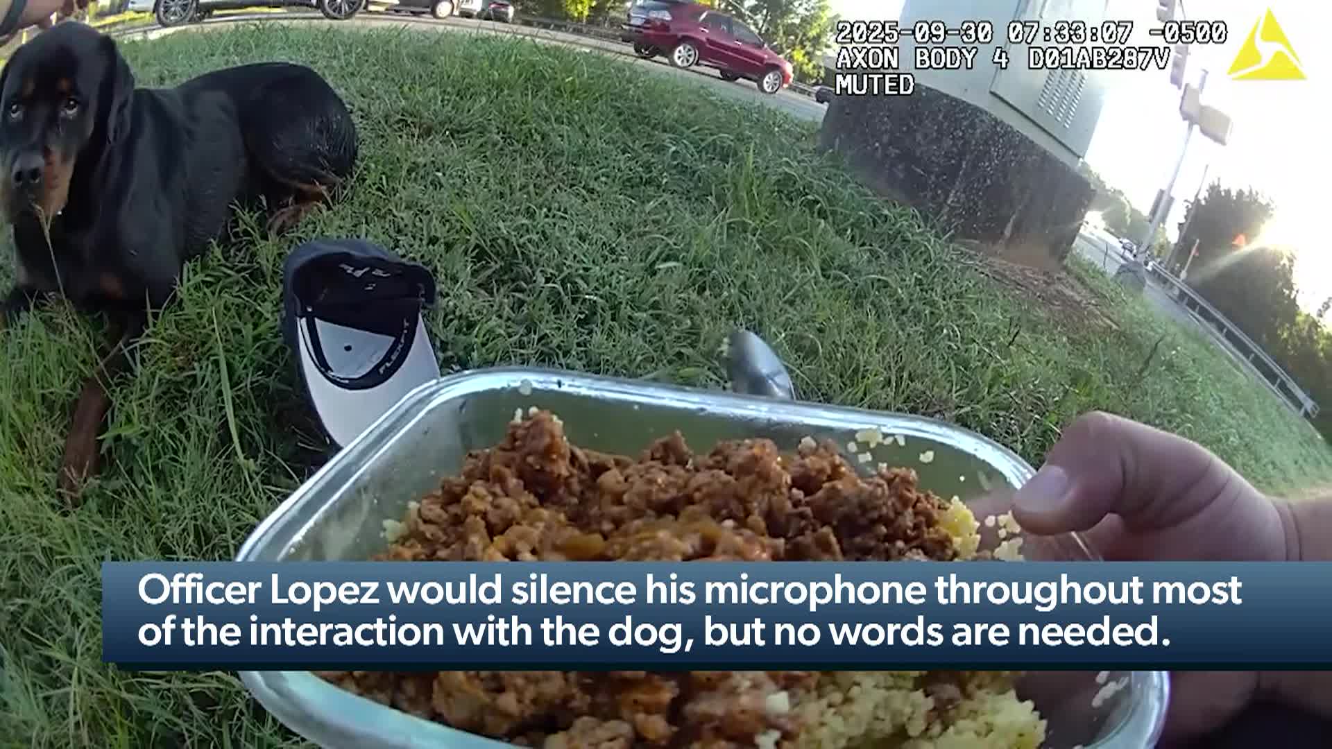 Thumbnail image for Body Cameras in Action