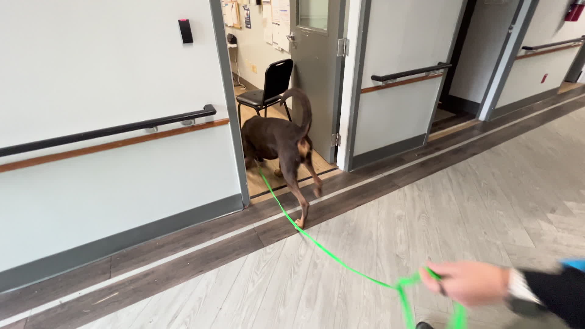 Thumbnail image for MPD K9 Training Workshop