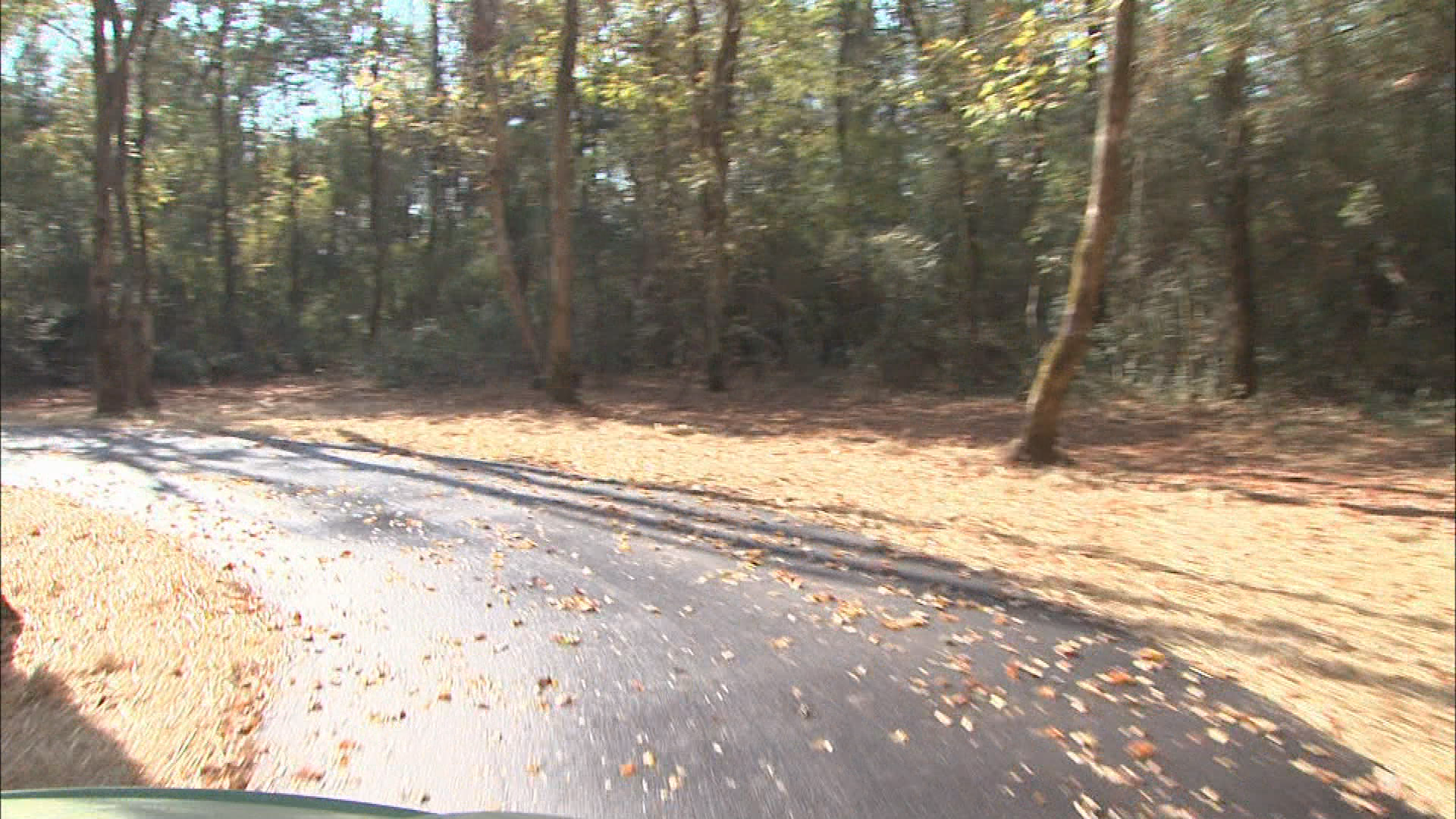 Thumbnail image for In The City