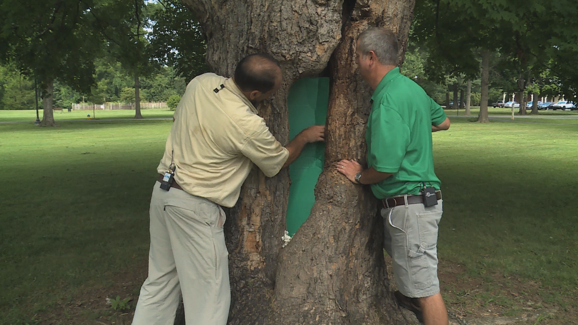 Thumbnail image for Gardening in the City