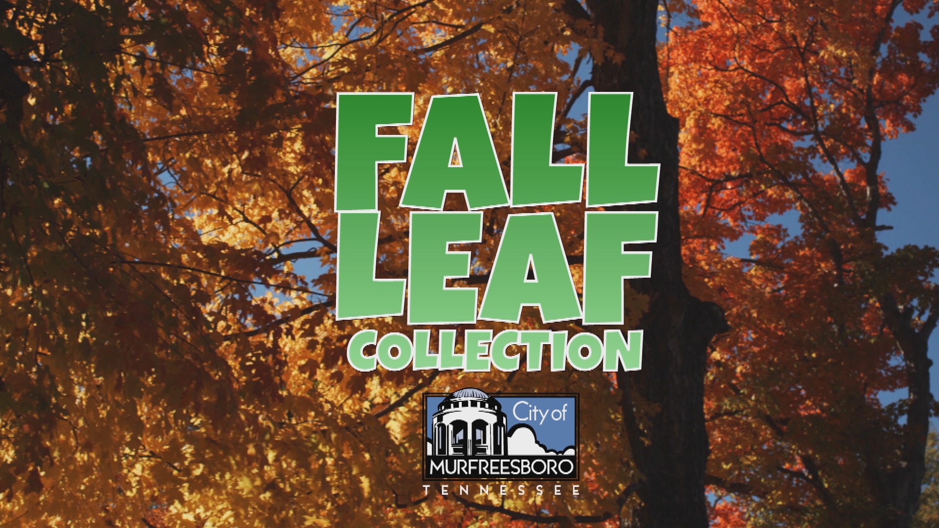 Thumbnail image for Leaf Collection PSA