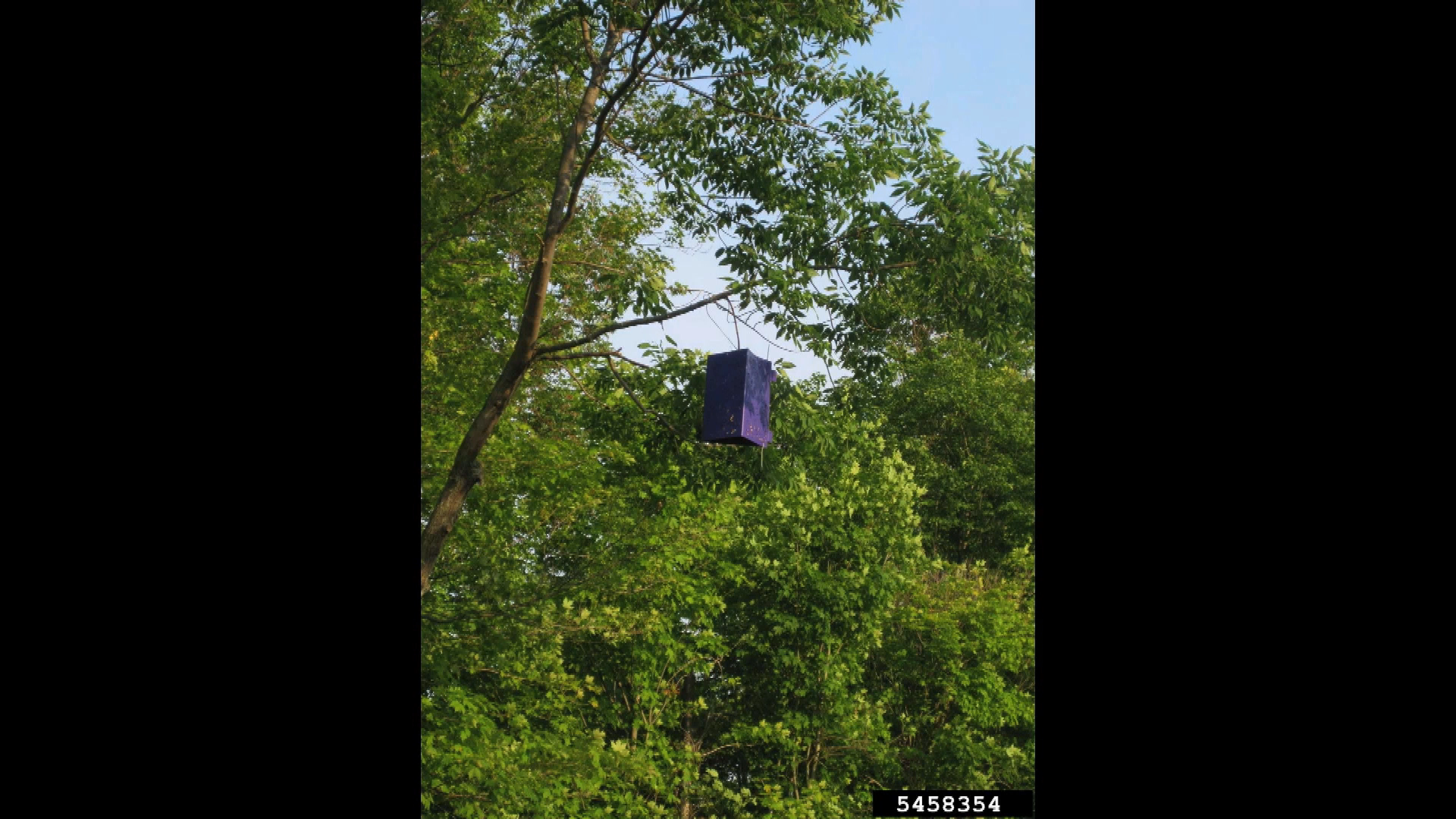 Thumbnail image for Gardening In the City