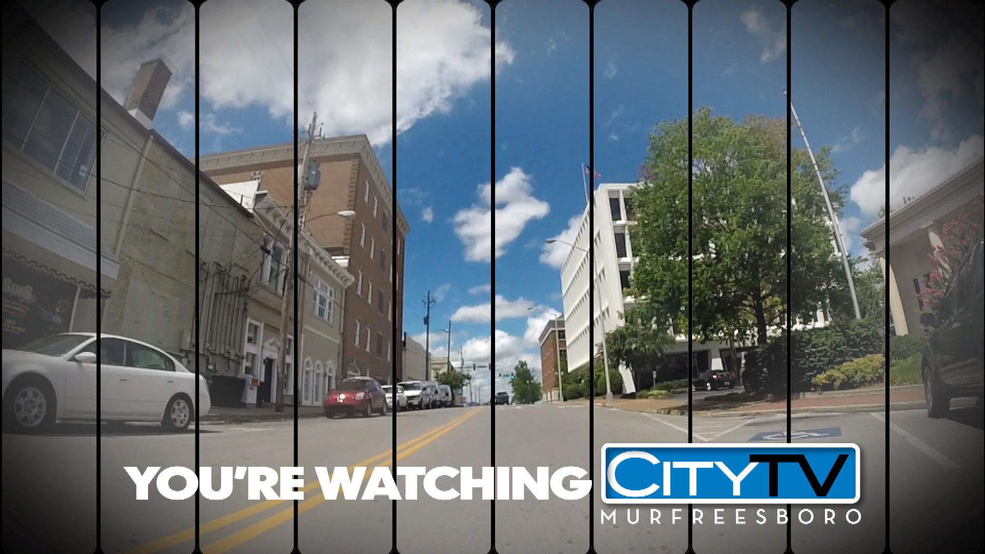 Thumbnail image for Spring ID 2