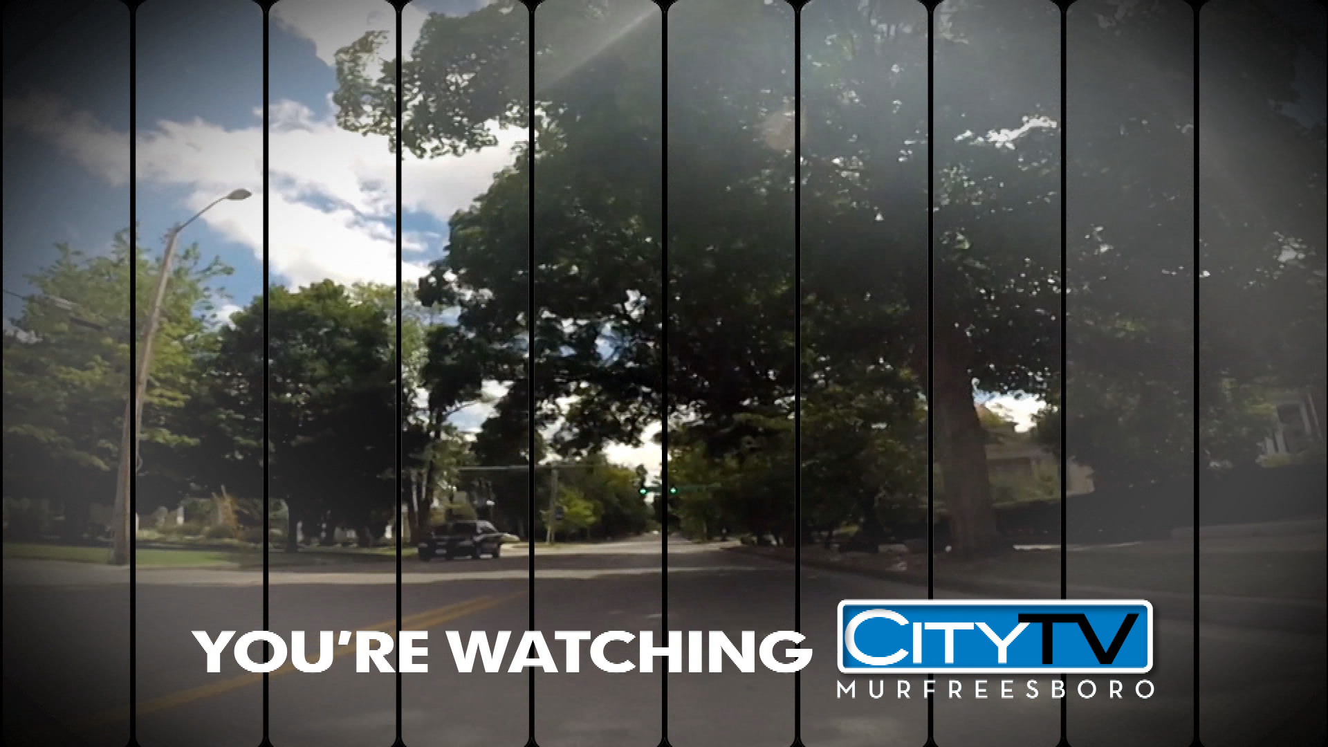 Thumbnail image for Spring ID 6