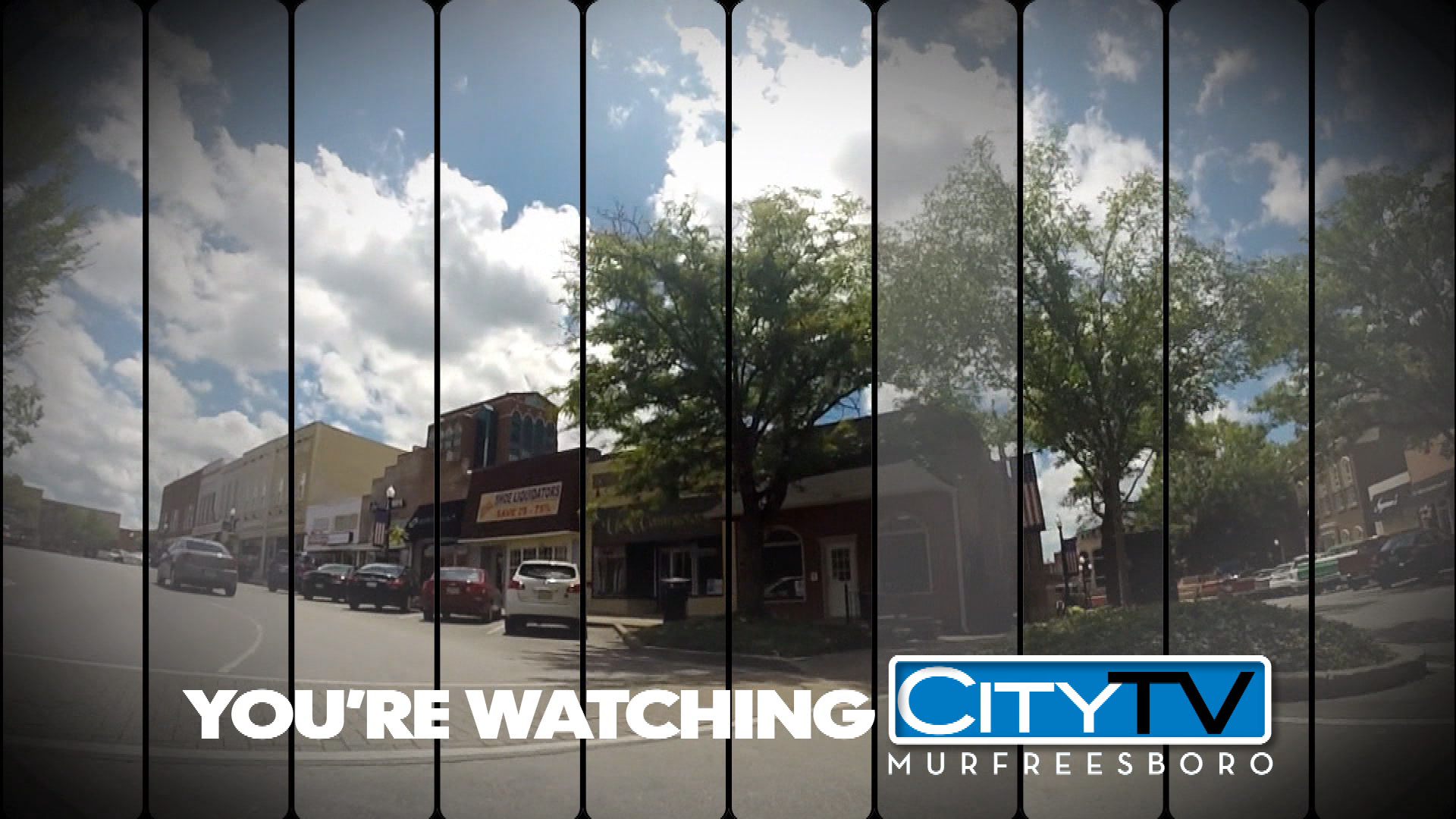 Thumbnail image for Spring ID 7