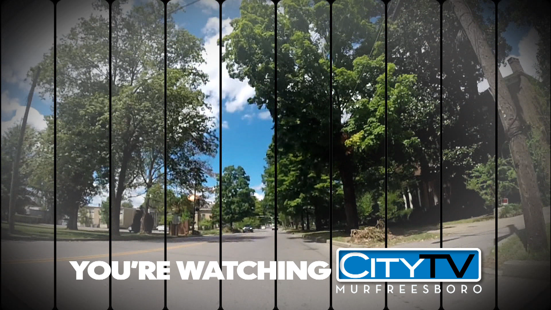 Thumbnail image for Spring ID 11