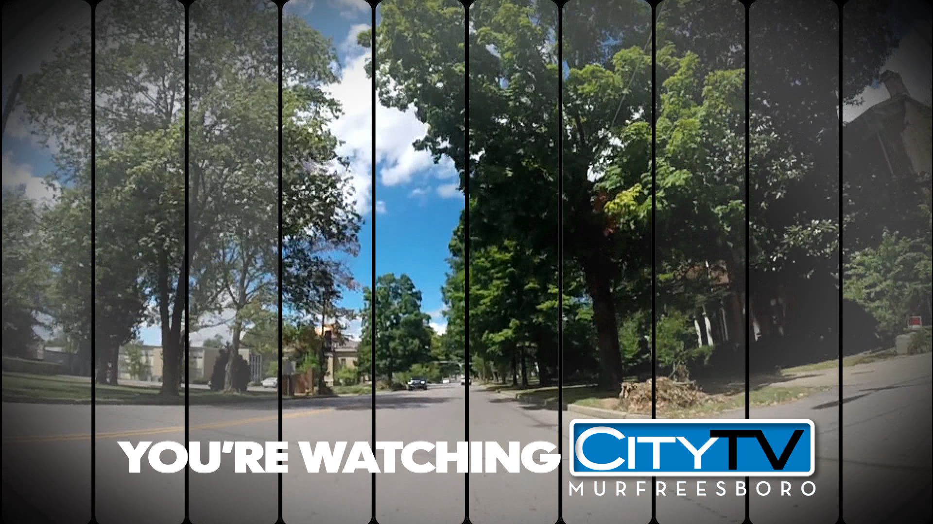 Thumbnail image for Spring ID 12