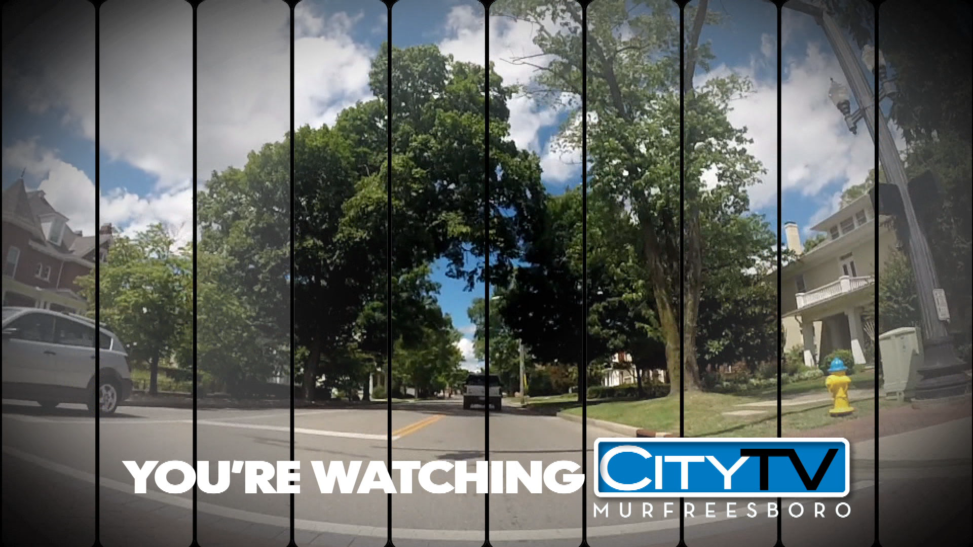 Thumbnail image for Spring ID 13