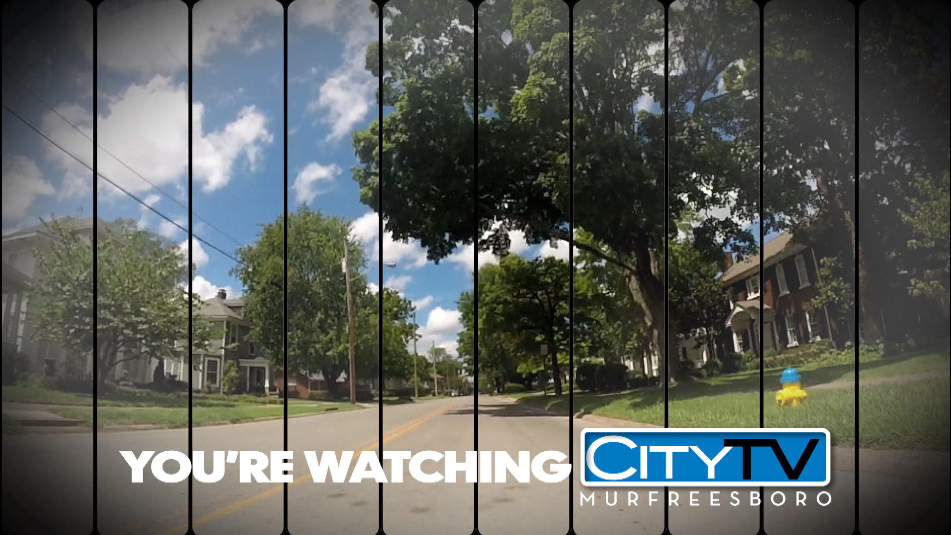 Thumbnail image for Spring ID 10