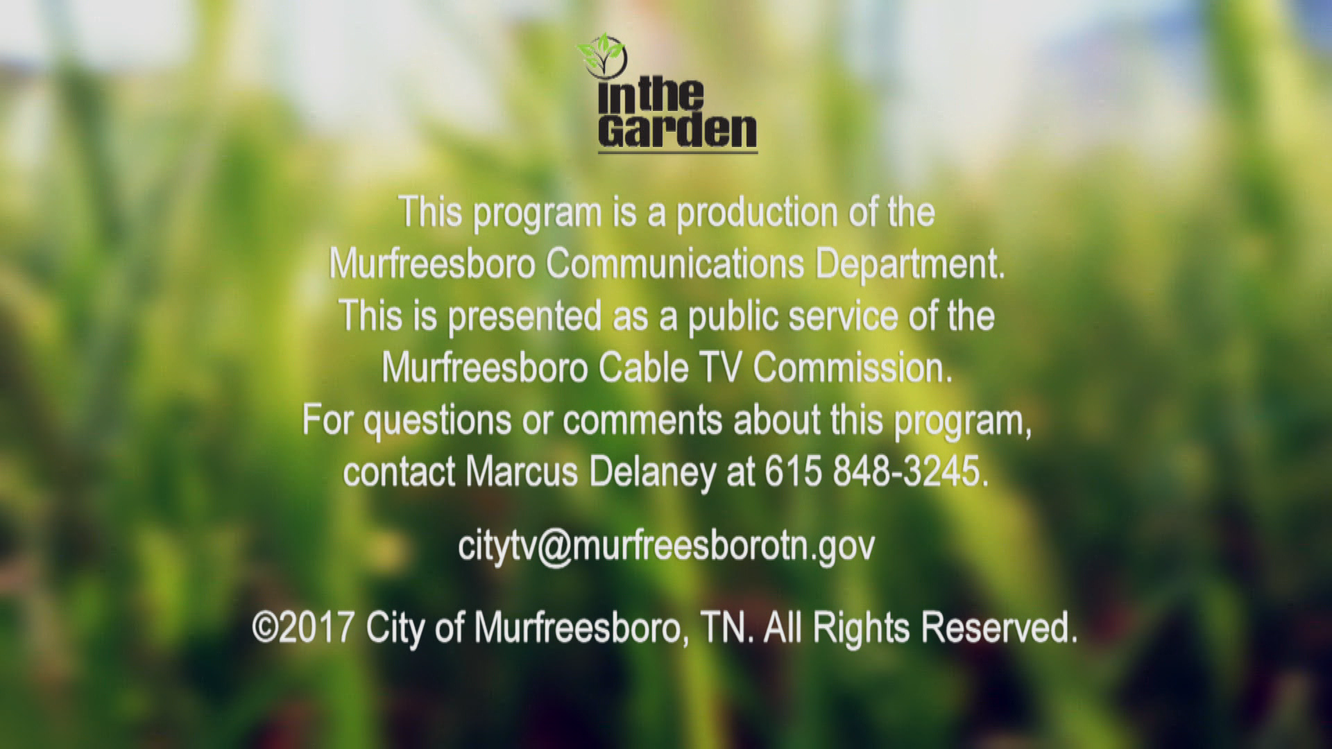 Thumbnail image for In the Garden