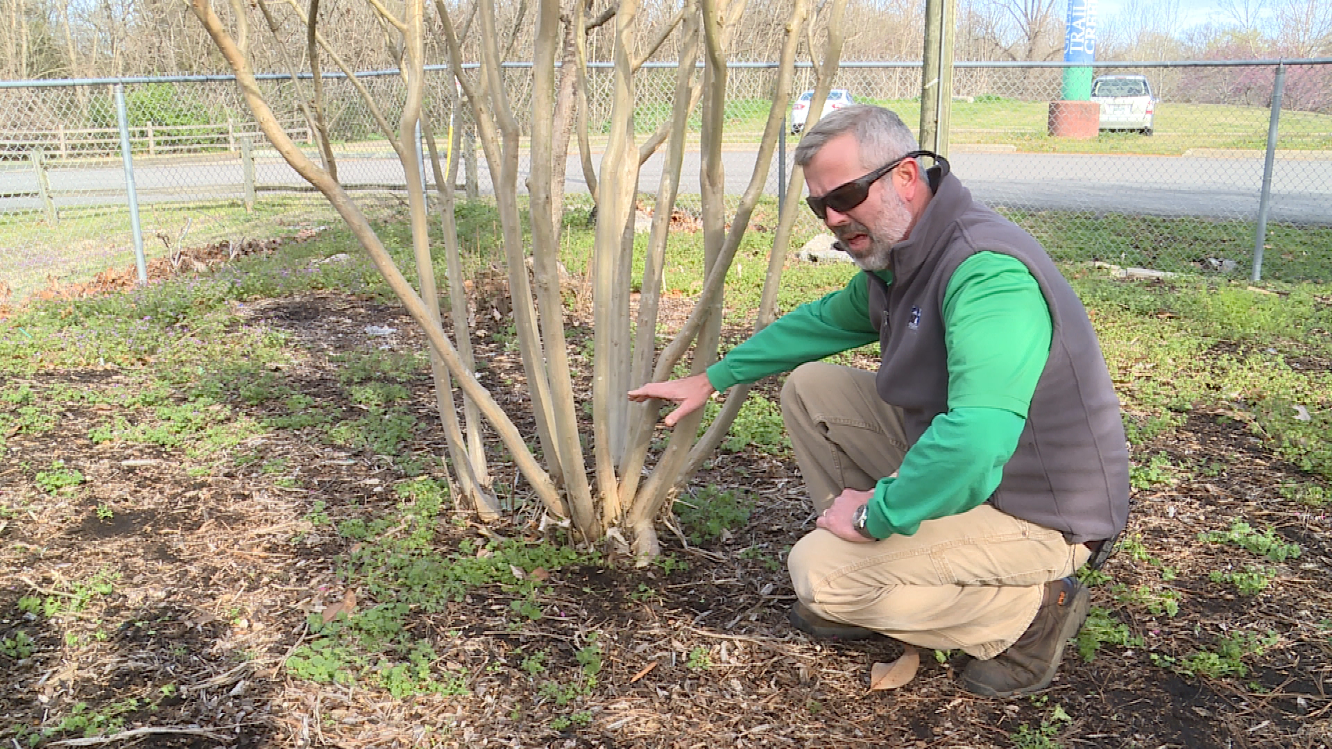 Thumbnail image for Gardening In the City