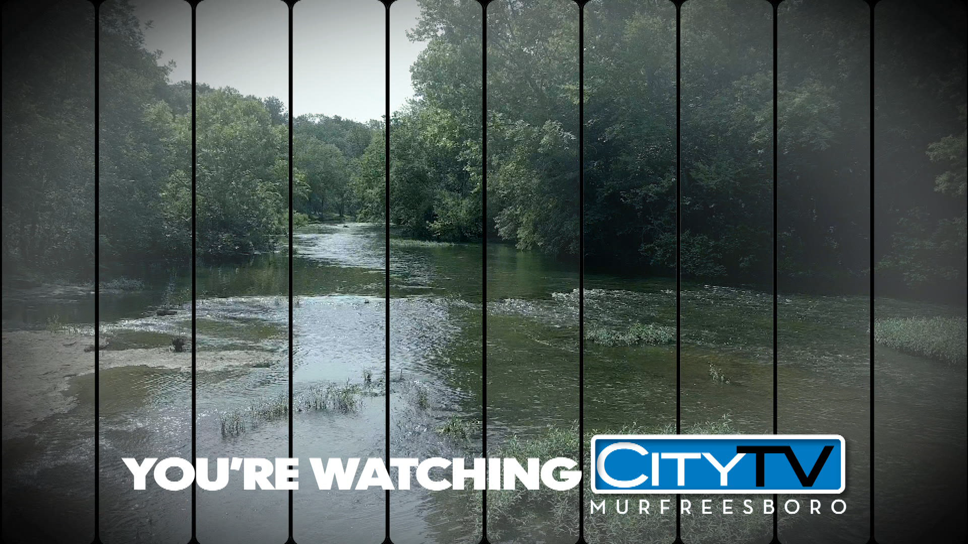 Thumbnail image for Summer Station ID