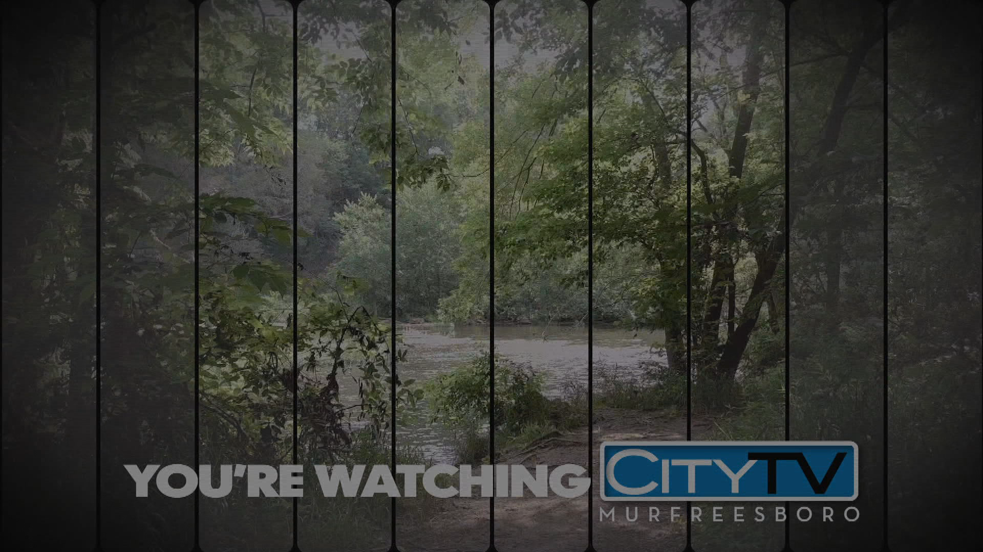 Thumbnail image for Summer Station ID