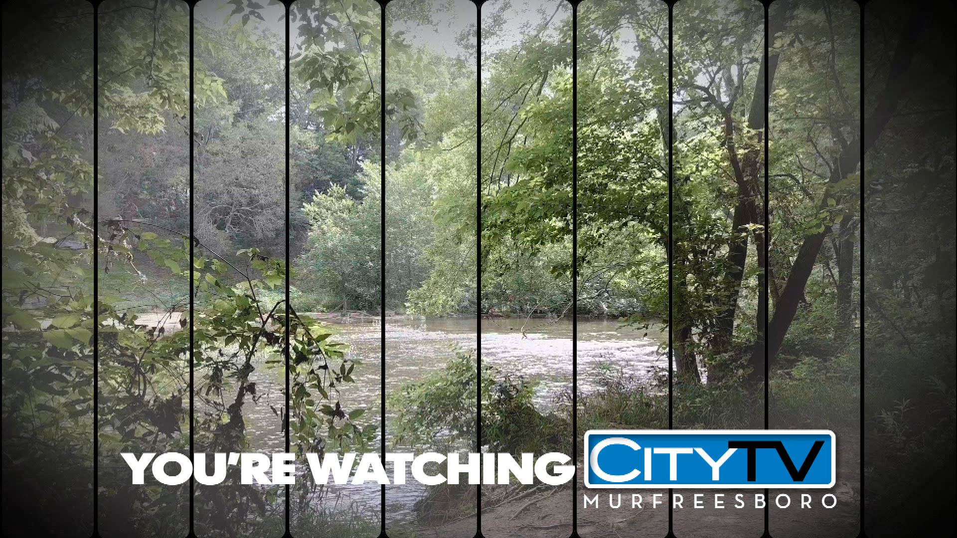 Thumbnail image for Summer Station ID