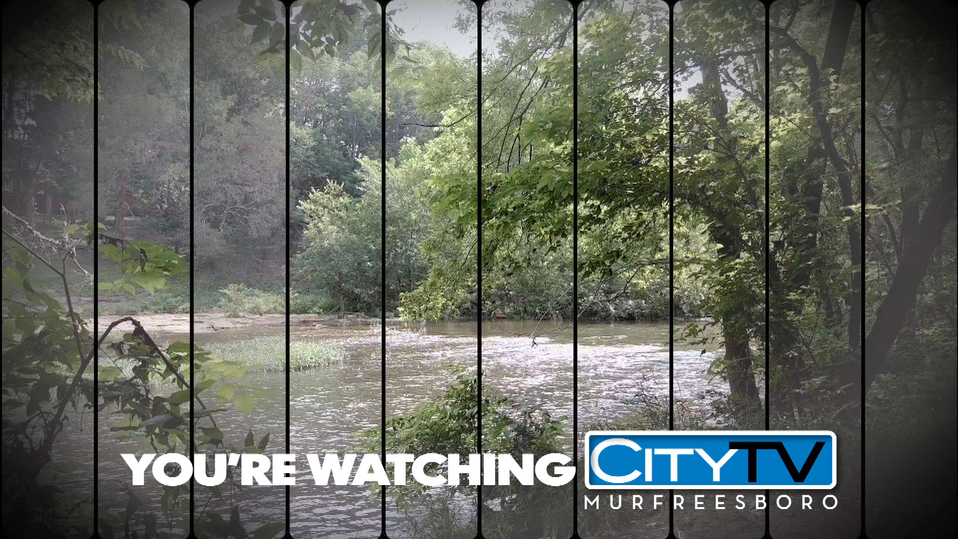 Thumbnail image for Summer Station ID