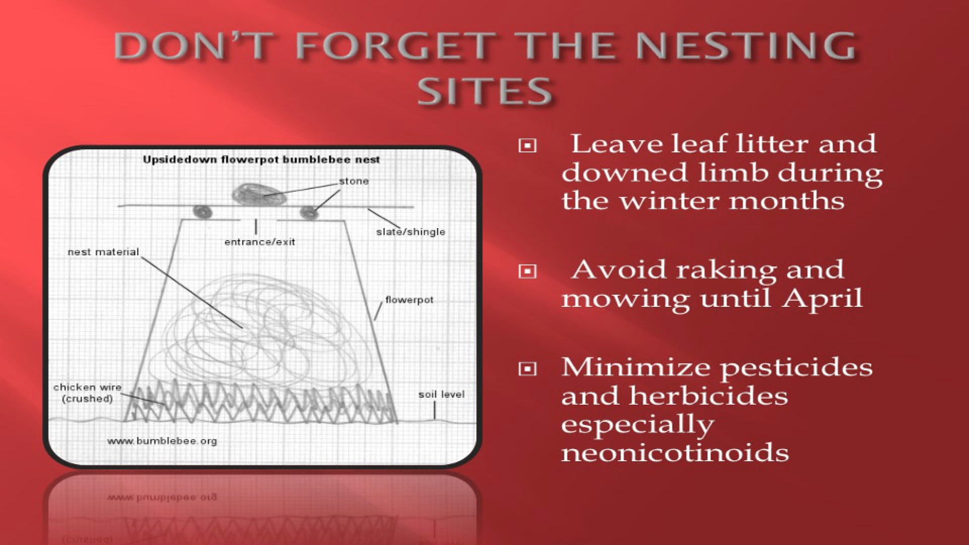 Thumbnail image for Yard Insects