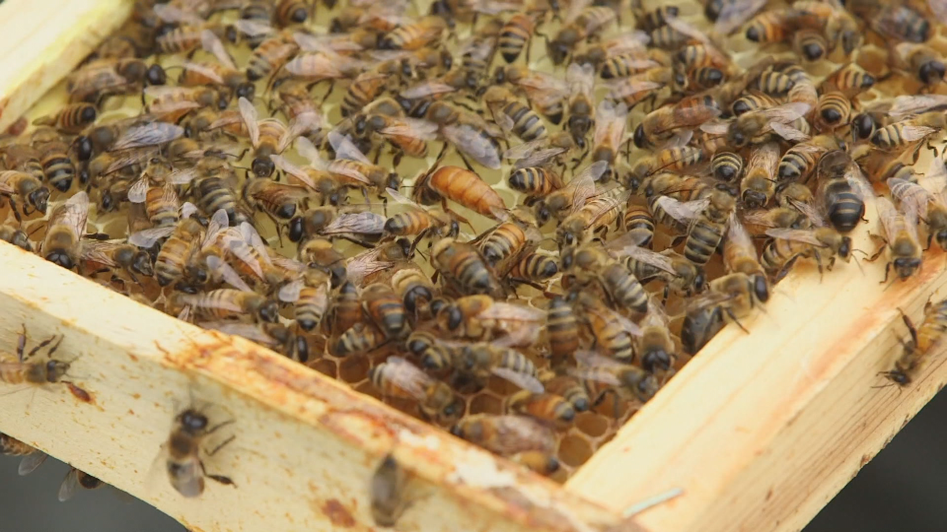 Thumbnail image for TN Uncharted