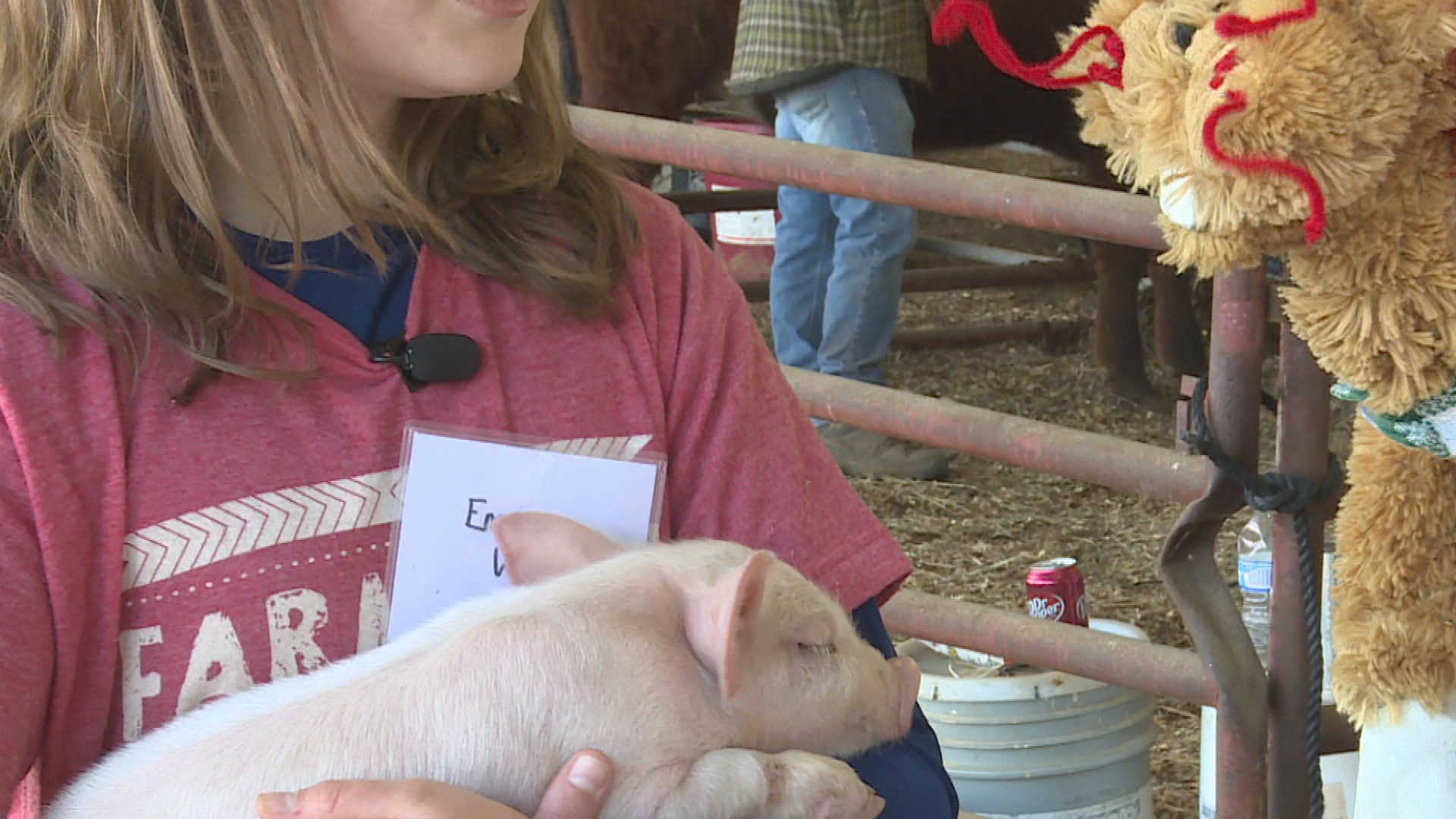 Thumbnail image for Murphry's Burrow