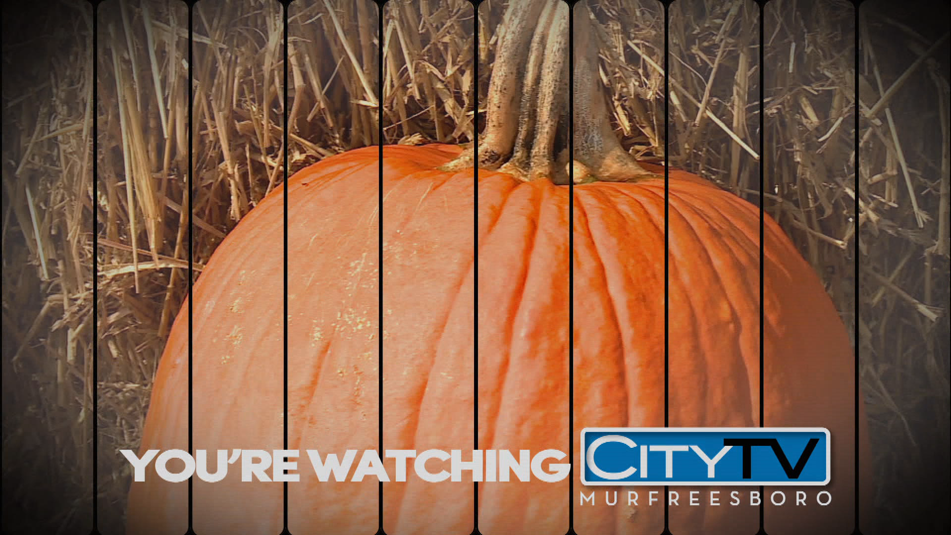 Thumbnail image for Fall Station ID