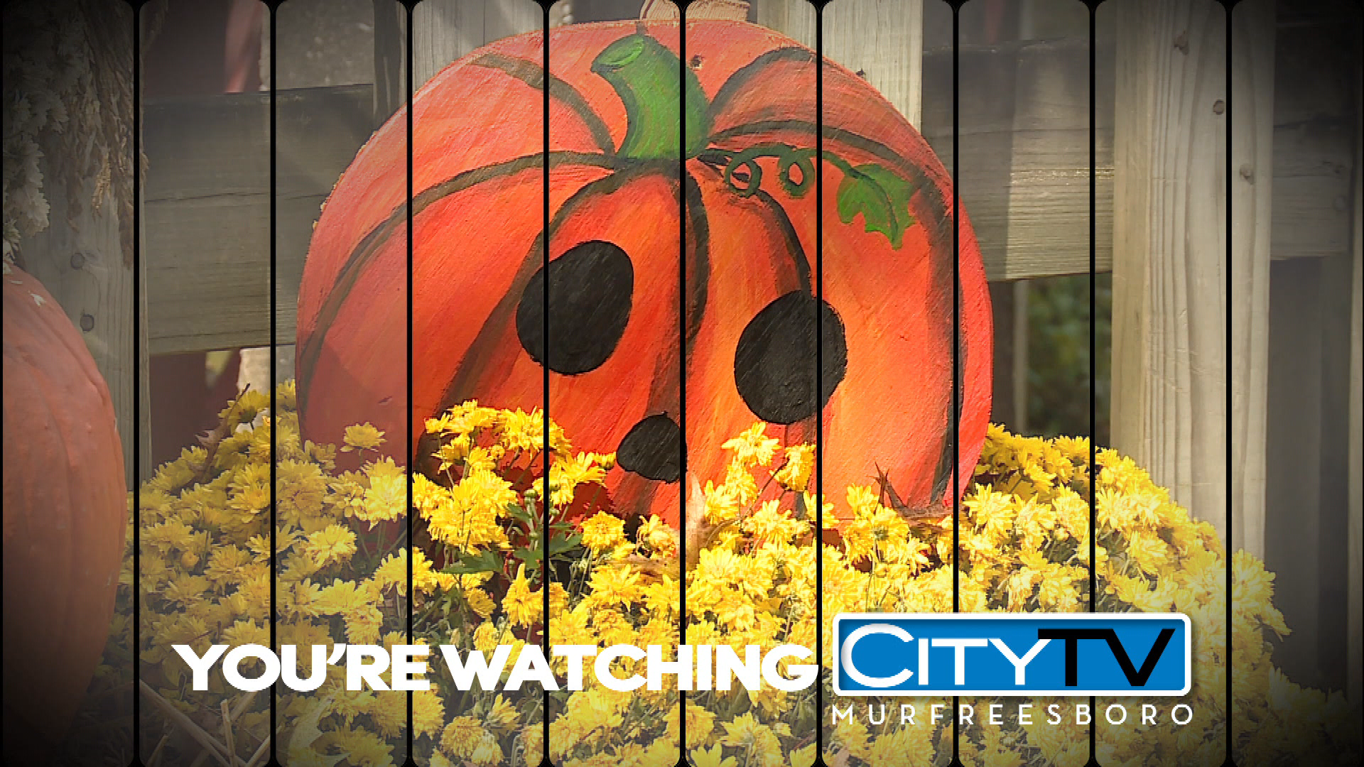 Thumbnail image for Fall Station ID