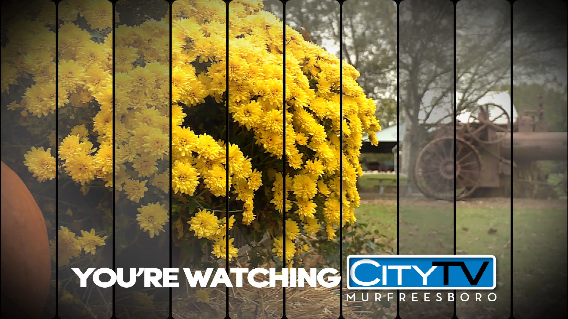 Thumbnail image for Fall Station ID