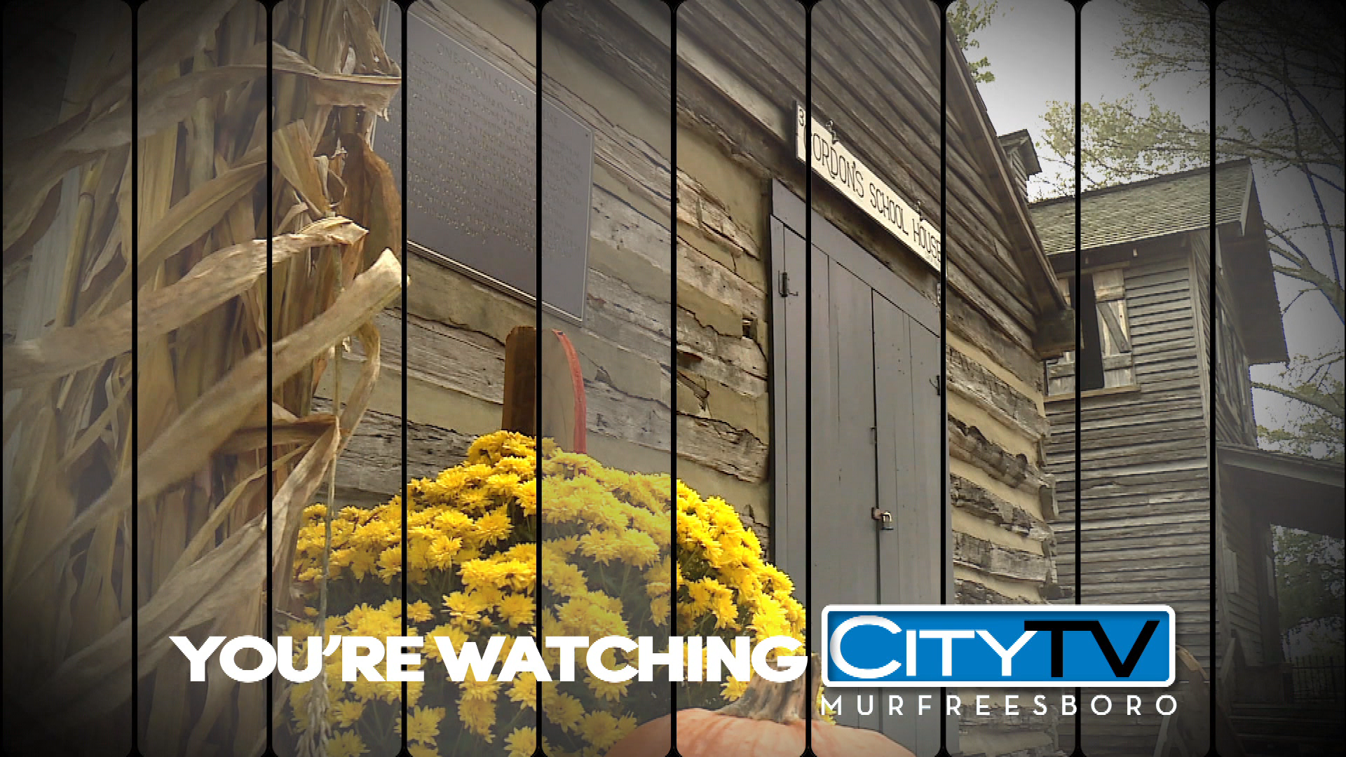 Thumbnail image for Fall Station ID